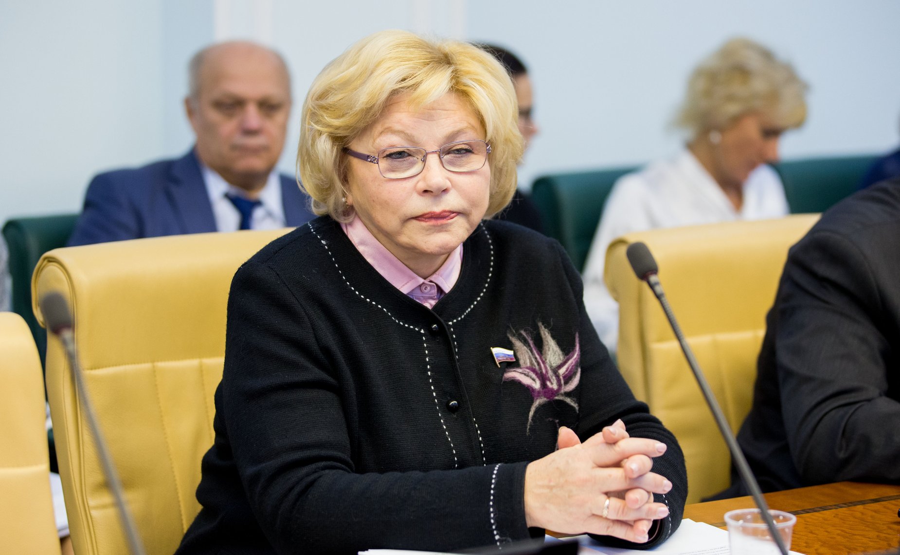 Заседание Комитета Совета Федерации по науке, образованию и культуре