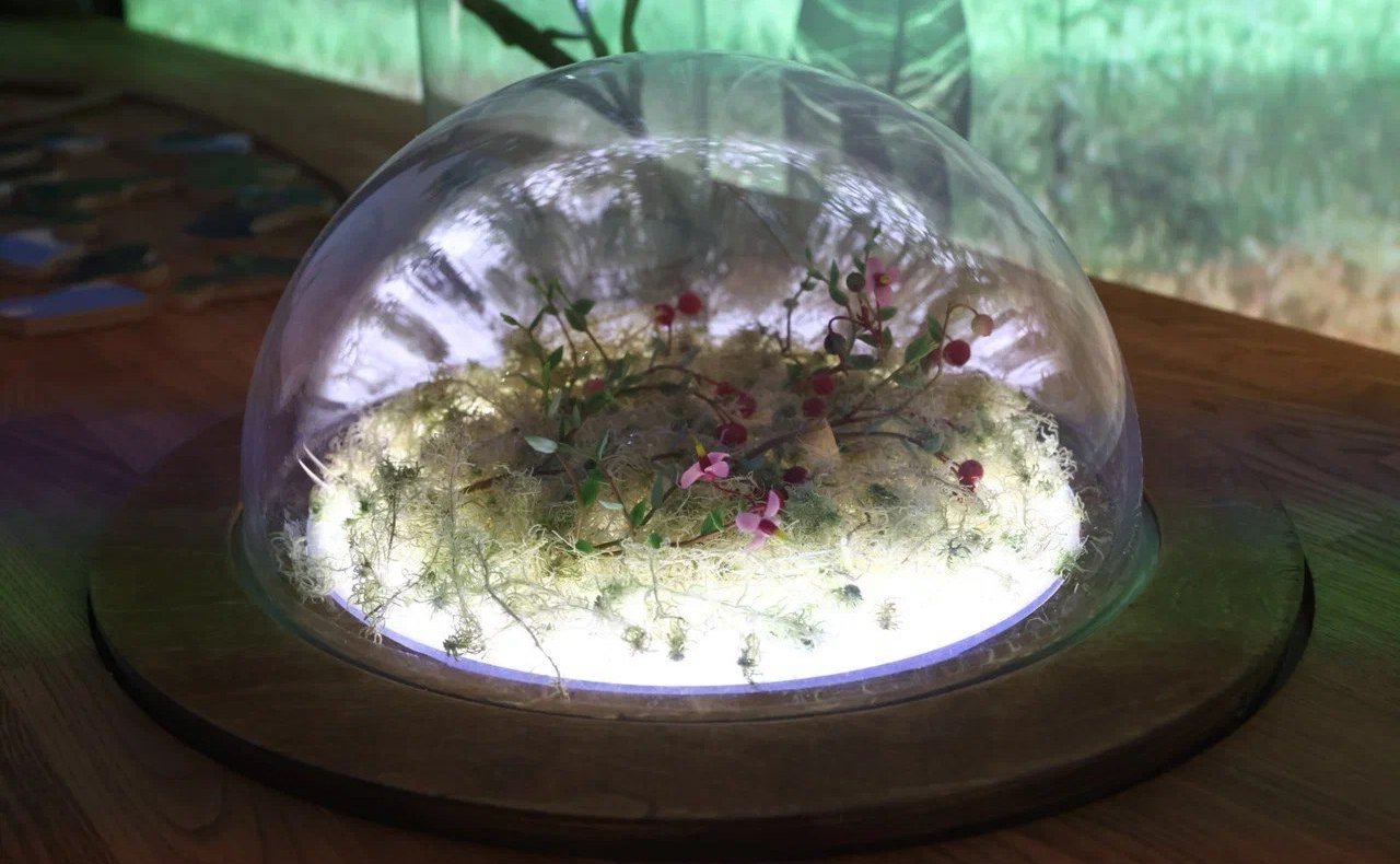 Рабочая поездка Юрия Воробьева в Вологодскую область