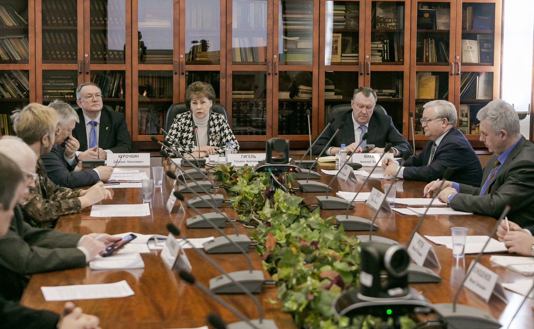 Заседание Экспертно-консультативного совета по лесному комплексу