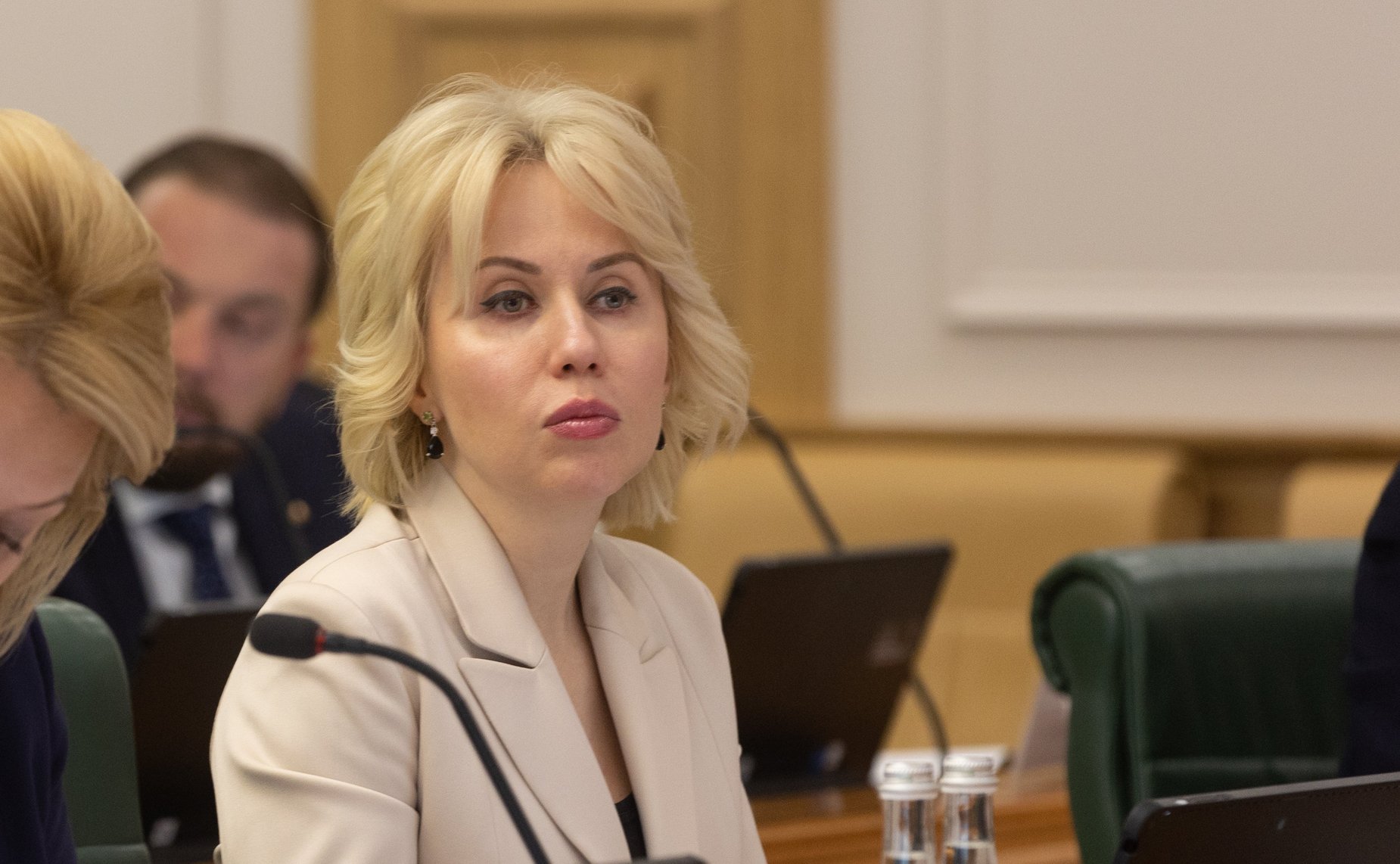 Заседание Организационного комитета по подготовке и проведению X Невского международного экологического конгресса