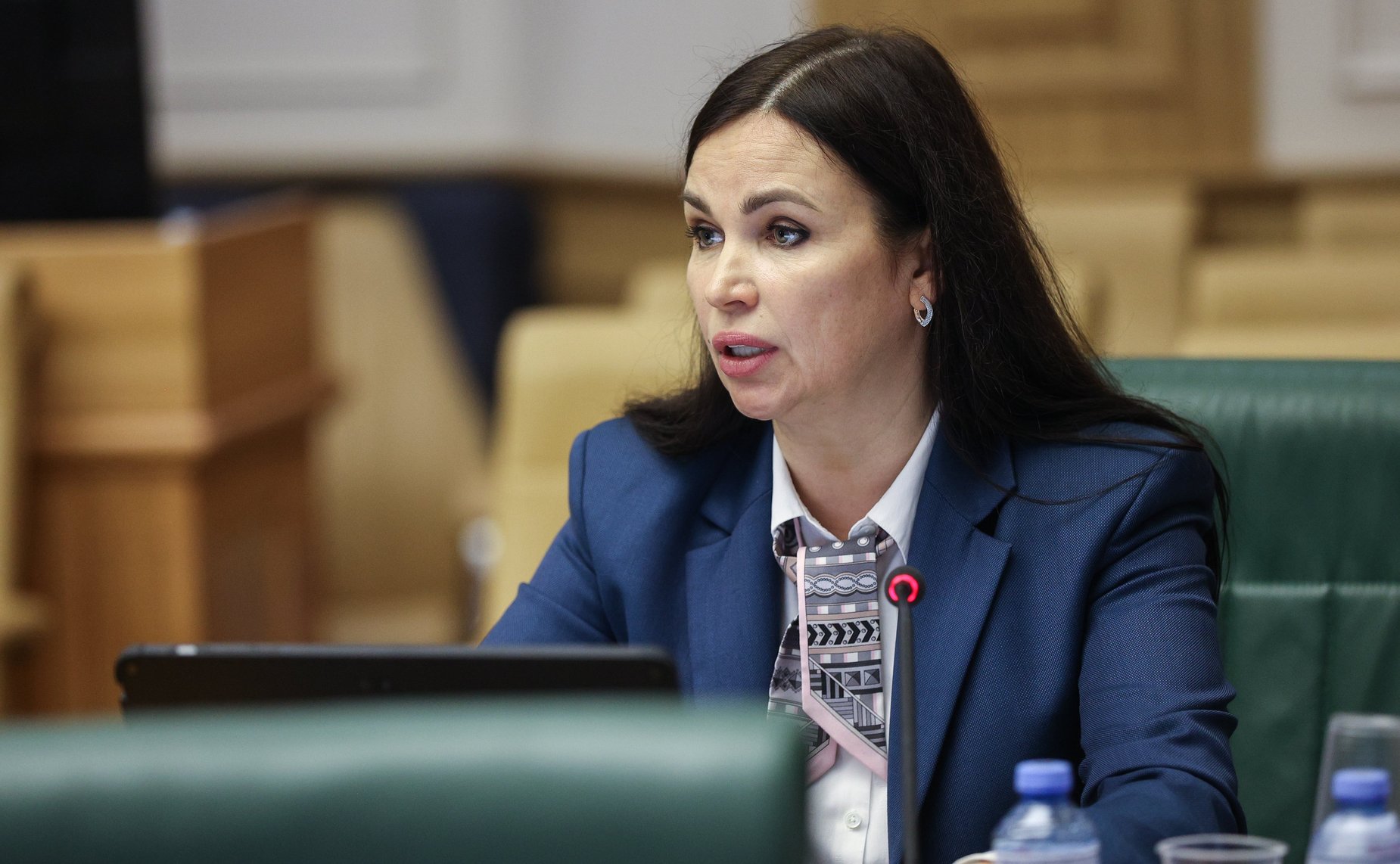 Заседание Комитета СФ по конституционному законодательству и государственному строительству