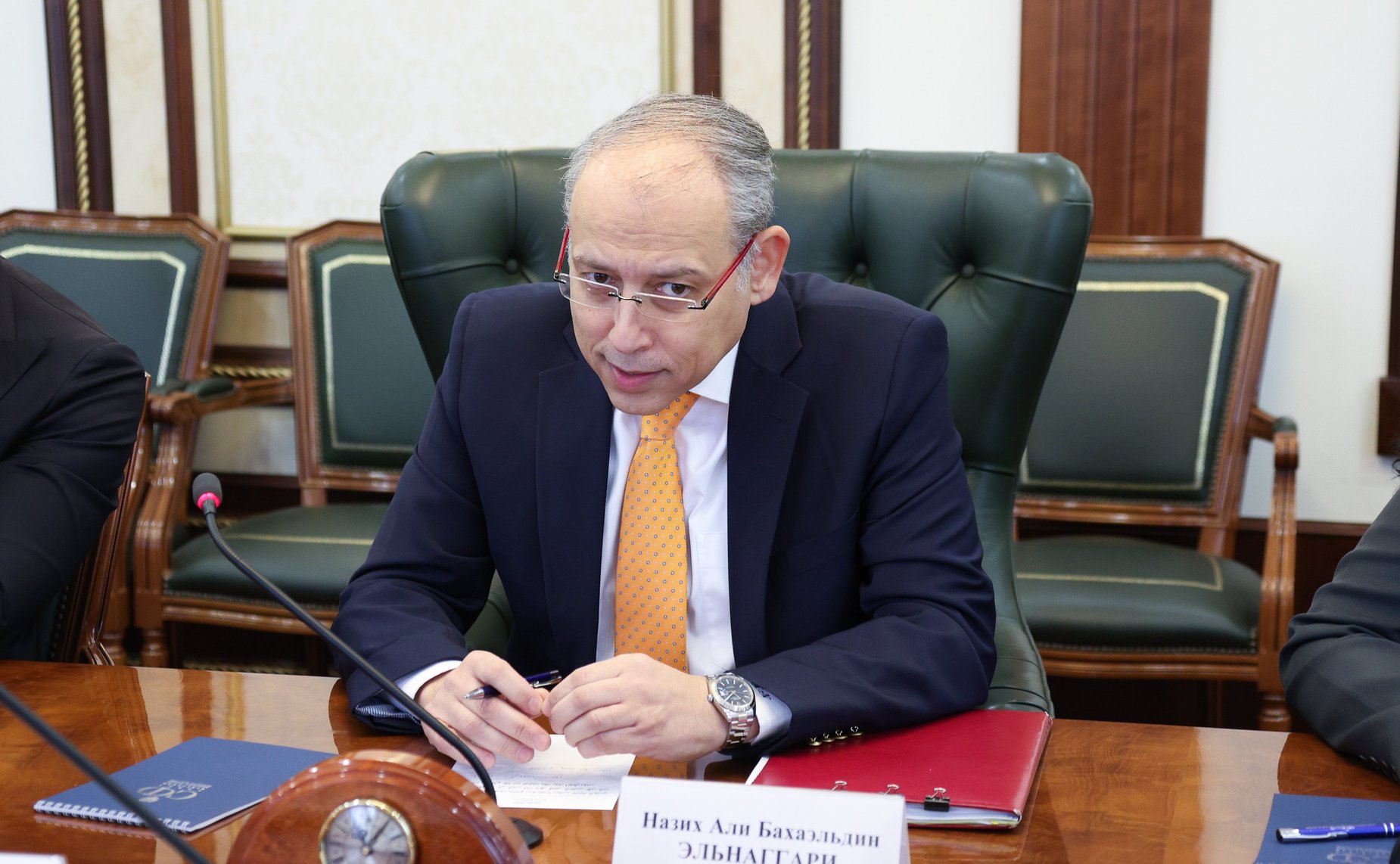 Встреча заместителя Председателя СФ, руководителя группы по сотрудничеству Совета Федерации с Сенатом Арабской Республики Египет Инны Святенко с Чрезвычайным и Полномочным Послом Арабской Республики Египет в РФ