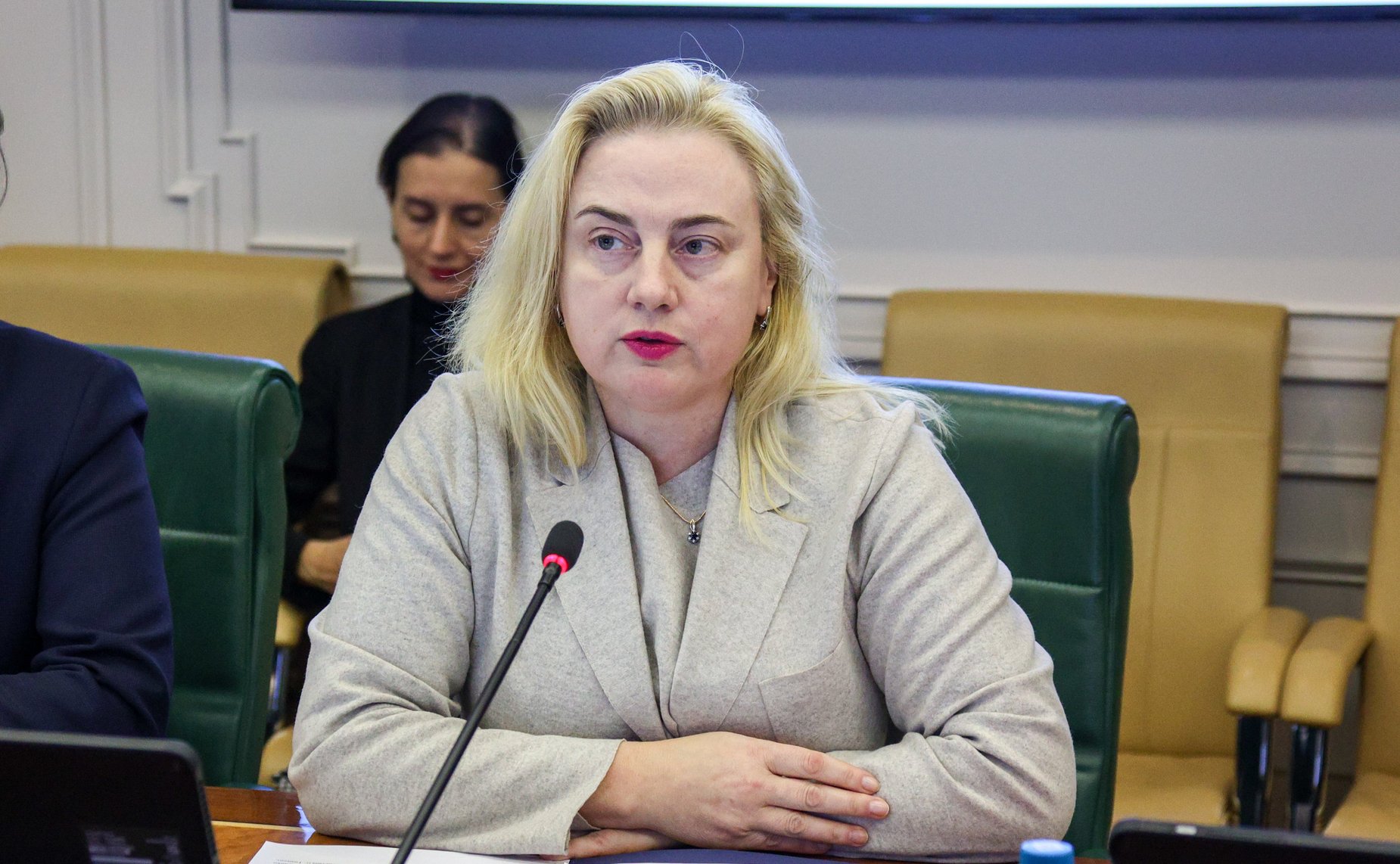 Заседание Комитета Совета Федерации по международным делам