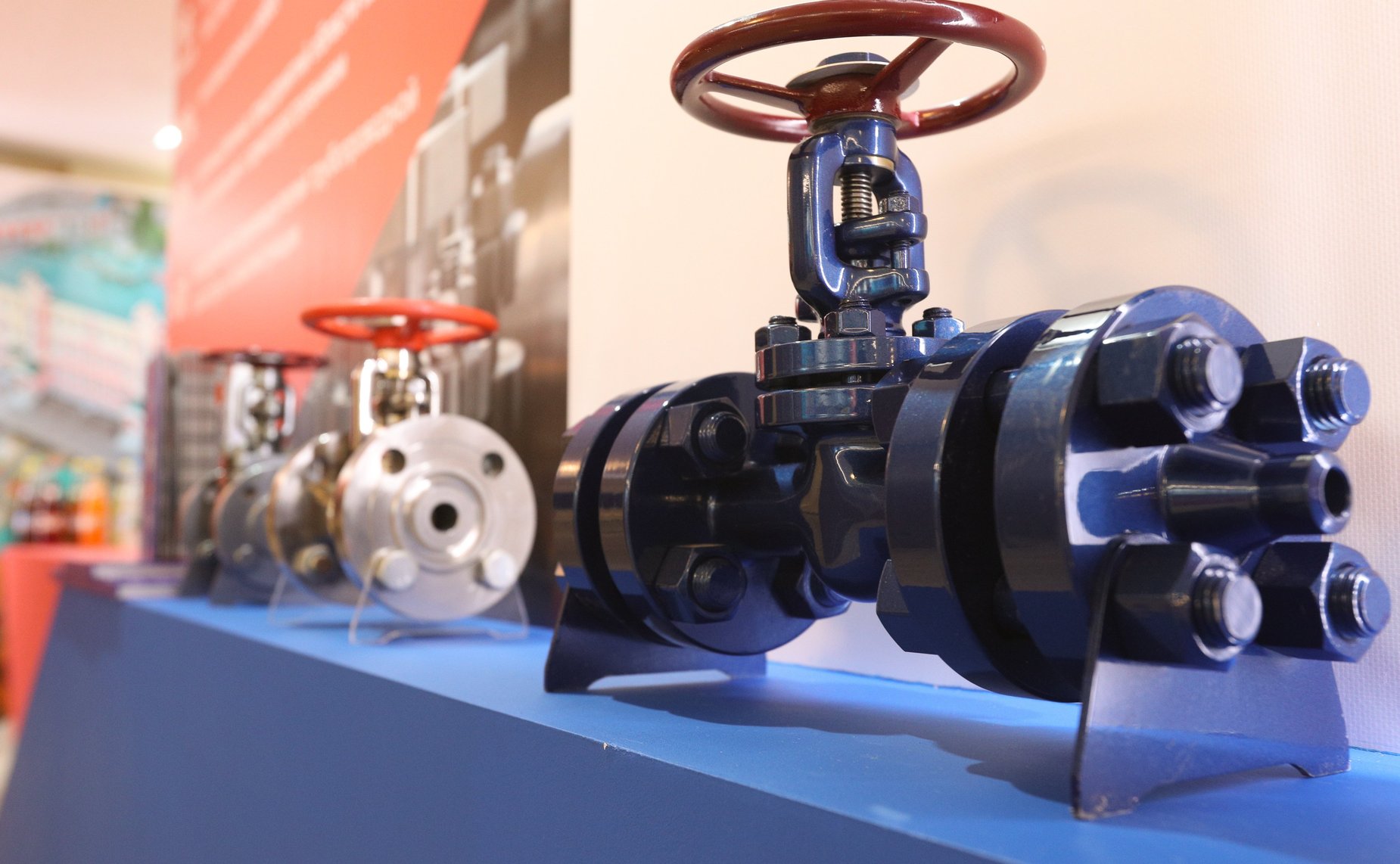 Открытие в Совете Федерации выставки, посвященной социально-экономическому развитию Курганской области