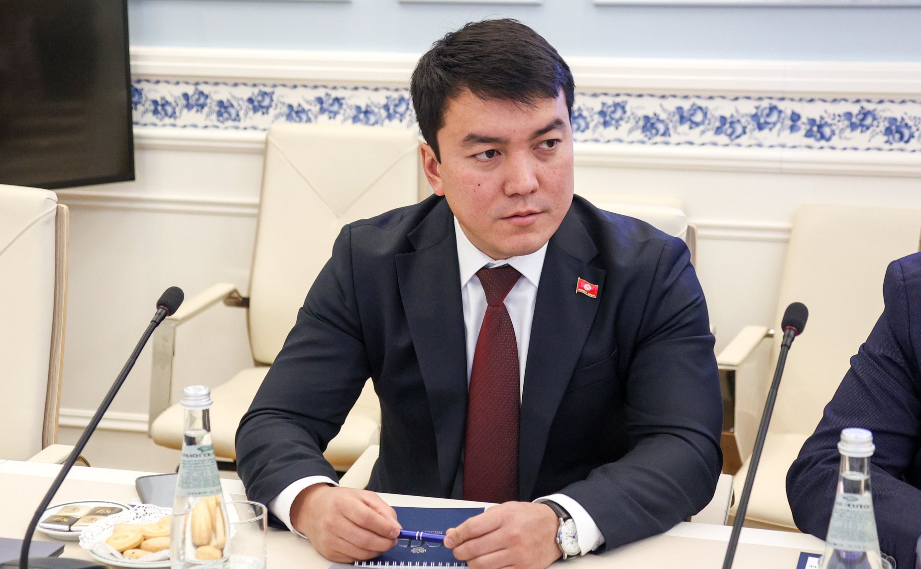 Встреча председателя Комитета СФ по науке, образованию и культуре Лилии Гумеровой с председателем Комитета по труду, здравоохранению, делам женщин и социальным вопросам Жогорку Кенеша Киргизской Республики