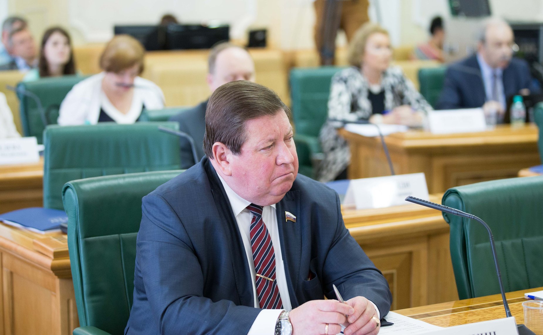 Парламентские слушания на тему «Механизмы обеспечения общеевропейского сотрудничества: возможности парламентской дипломатии». Литюшкин