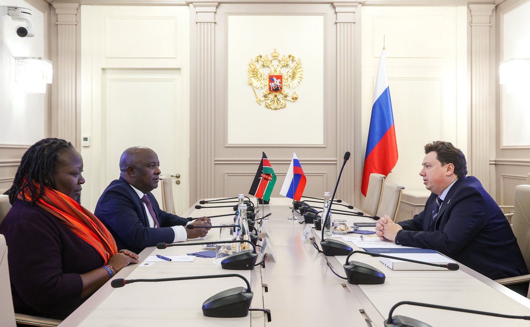 Встреча первого заместителя председателя Комитета СФ по бюджету и финансовым рынкам Александра Шендерюка-Жидкова с председателем Комитета по государственным инвестициям и специальным фондам Сената Республики Кении