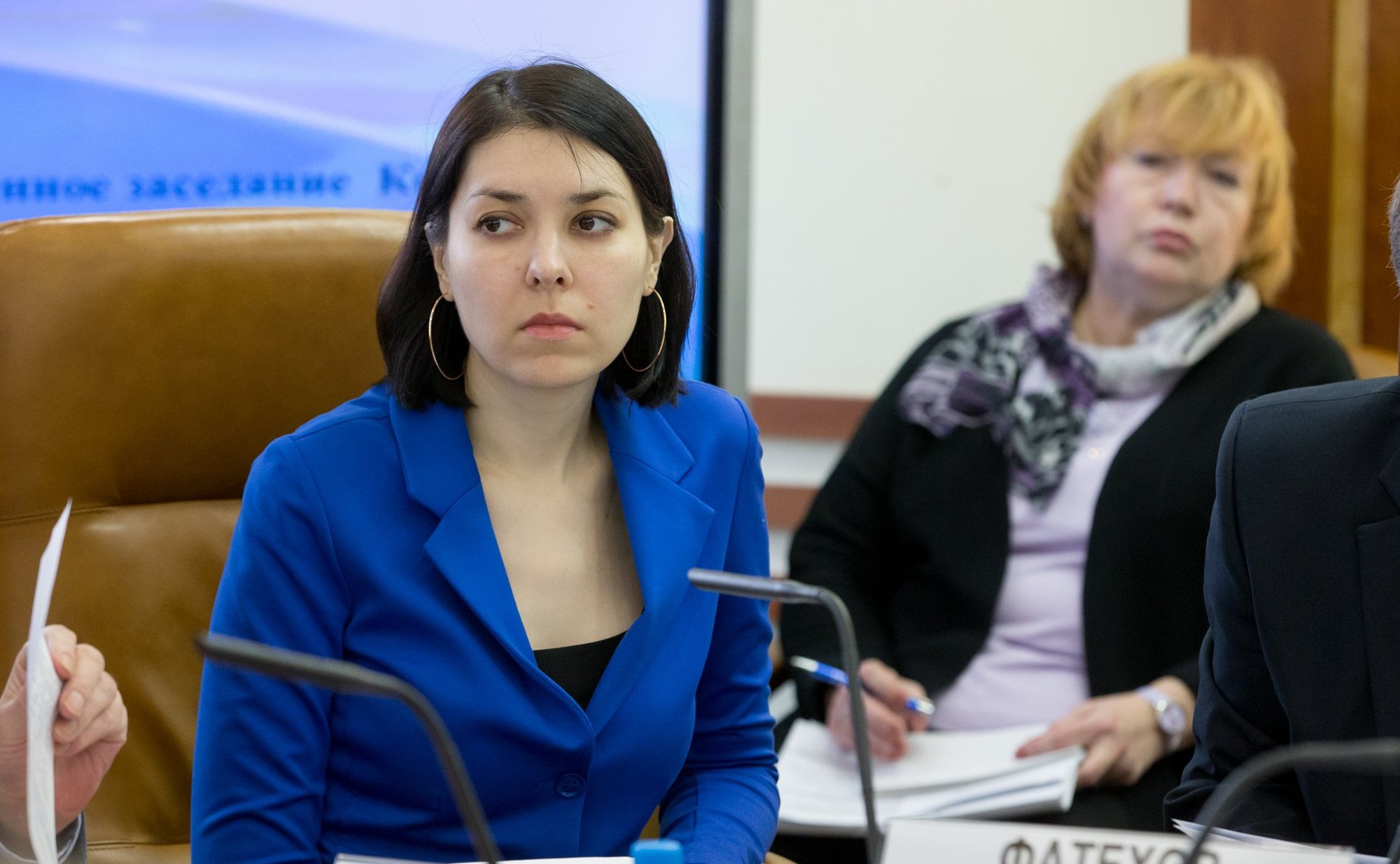 Заседание Комитета по федеративному устройству, региональной политике, местному самоуправлению и делам Севера