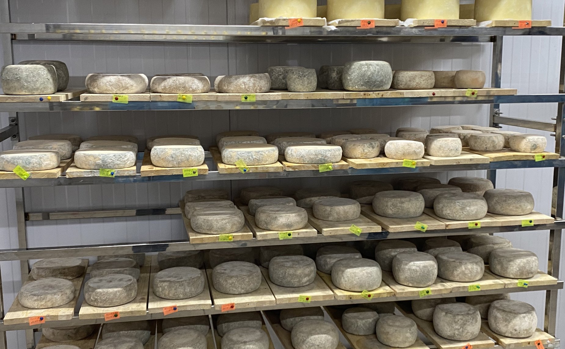 Олег Алексеев в ходе работы в регионе посетил сыроварню