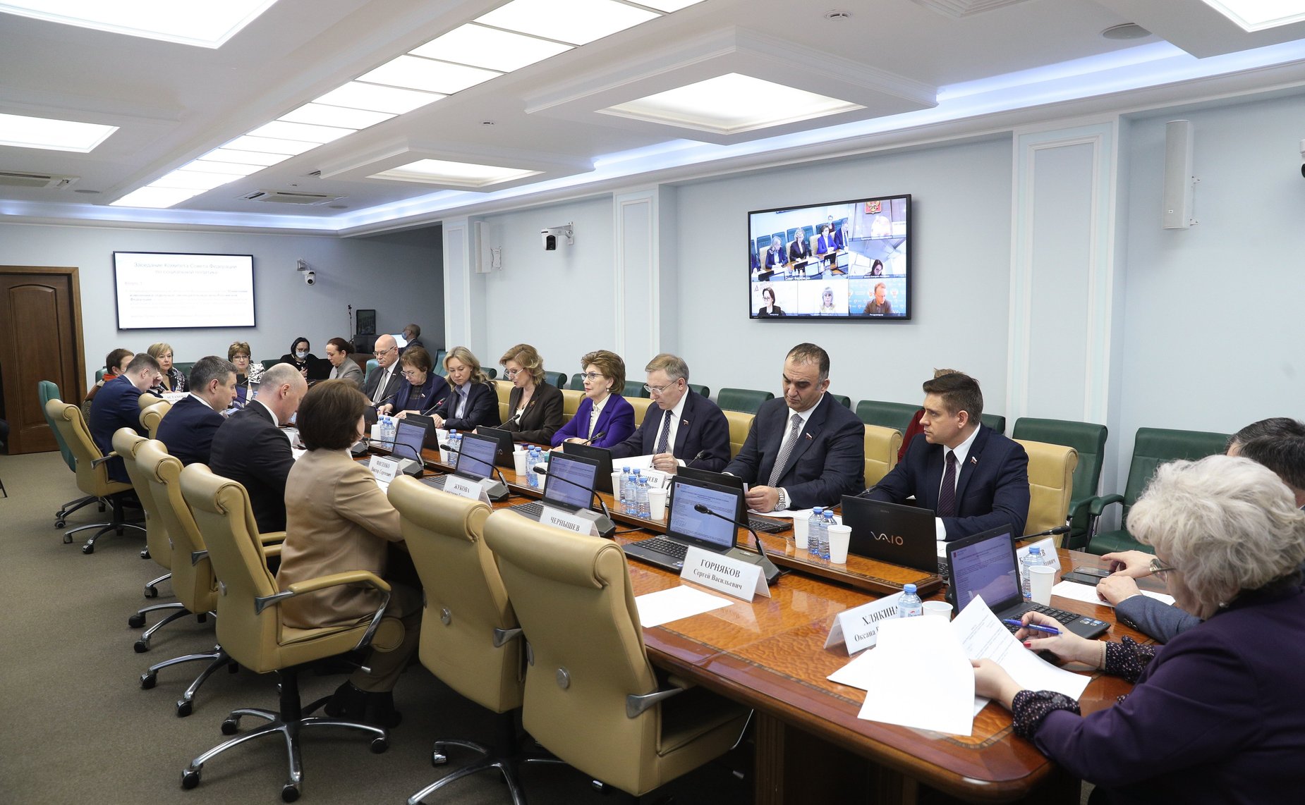 Заседание Комитета СФ по социальной политике