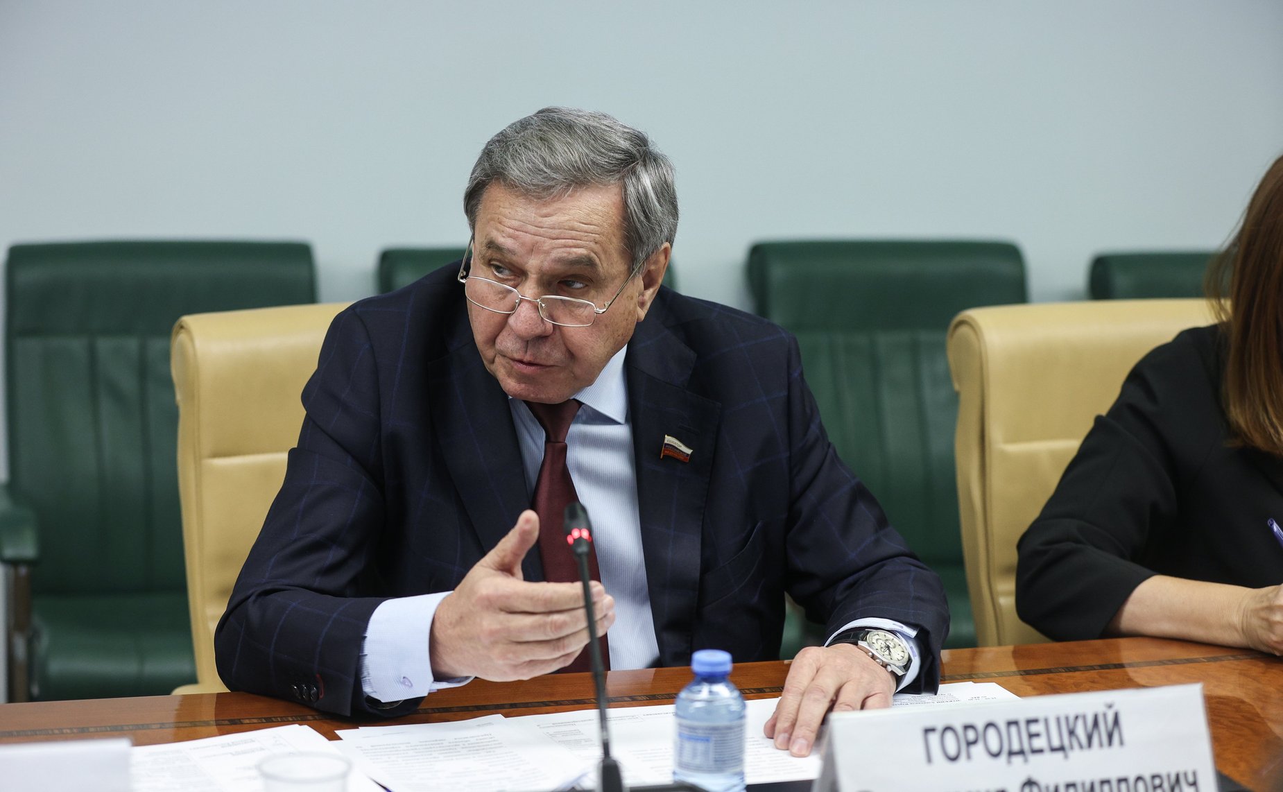 Владимир Городецкий