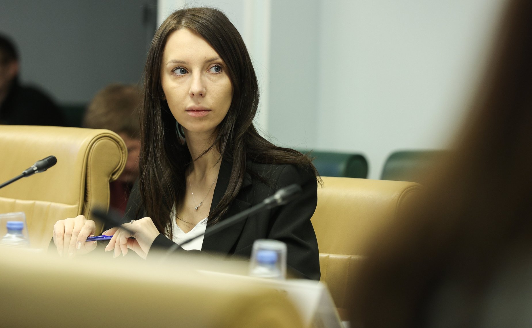 Круглый стол Комитета СФ по конституционному законодательству и государственному строительству