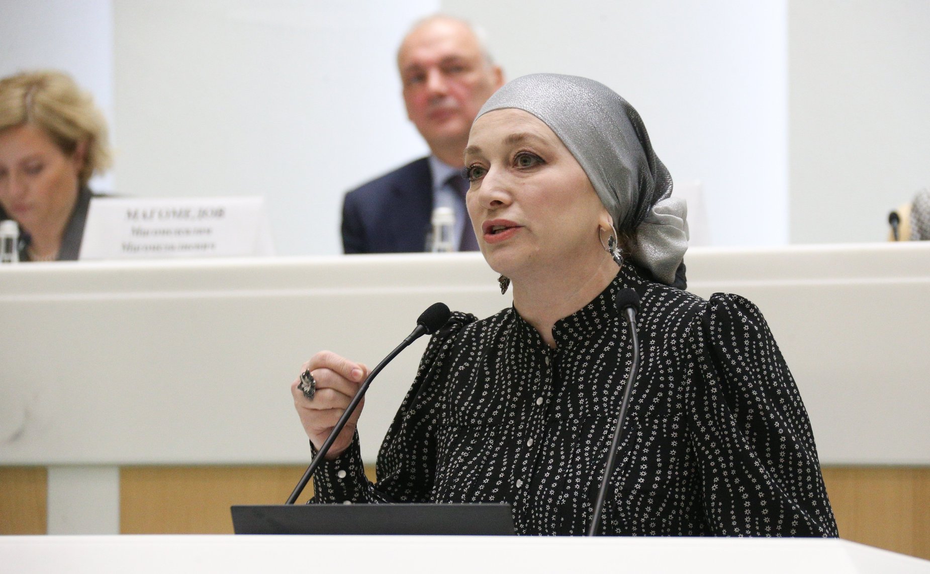 Встреча Председателя Совета Федерации Валентины Матвиенко с руководителями центров народного творчества, домов и дворцов культуры, деятелями культуры и искусства