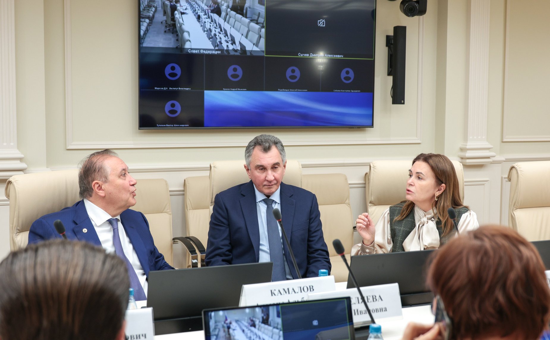 Заседание Экспертного совета по здравоохранению при Комитете Совета Федерации по социальной политике