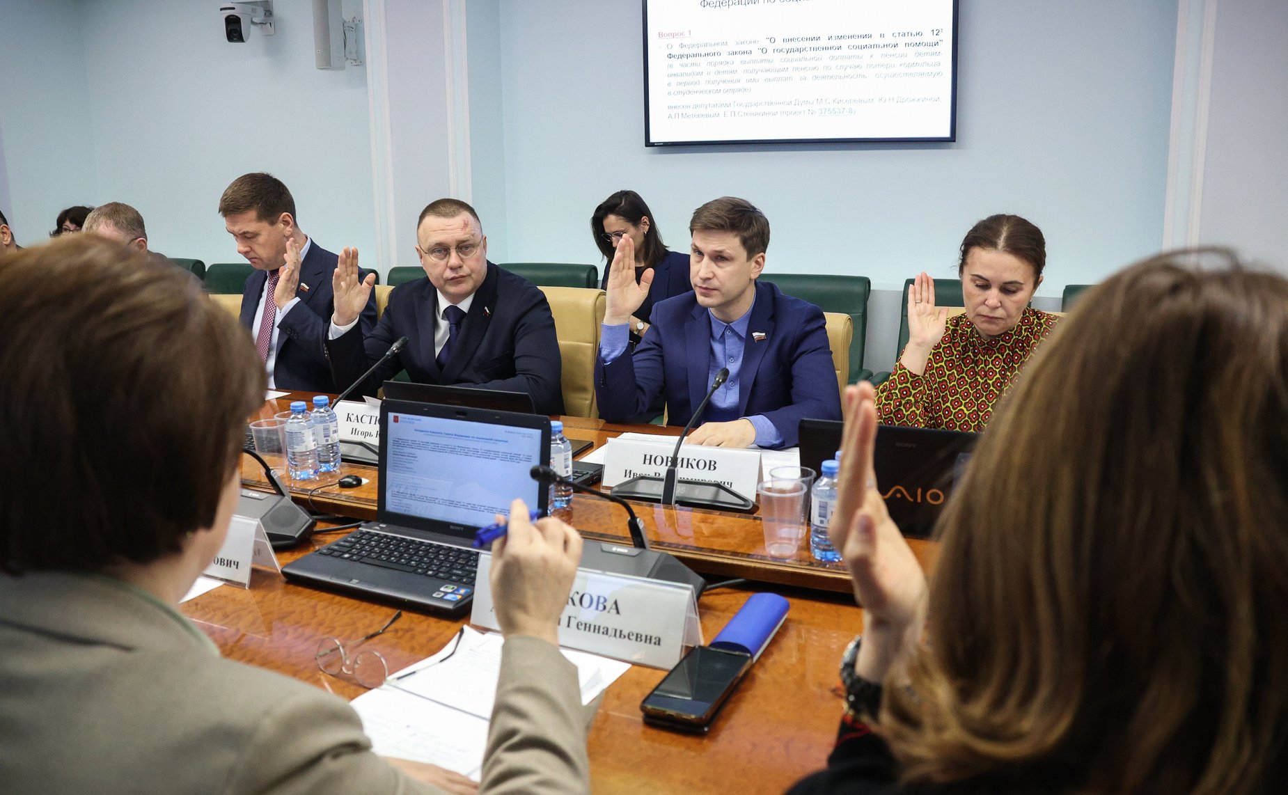 Заседание Комитета Совета Федерации по социальной политике