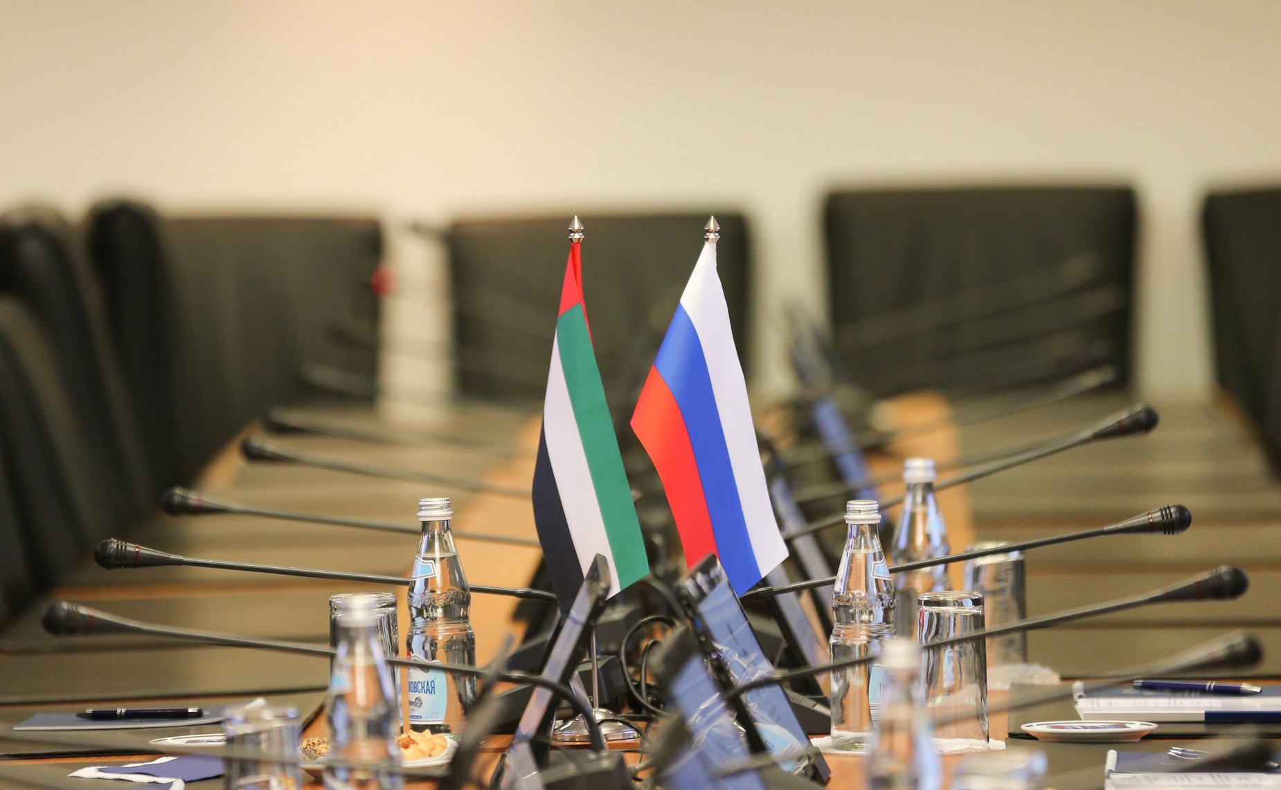 Встреча председателя Комитета СФ по науке, образованию и культуре Лилии Гумеровой с Чрезвычайным и Полномочным Послом Объединенных Арабских Эмиратов в РФ Мохаммедом Аль-Джабером