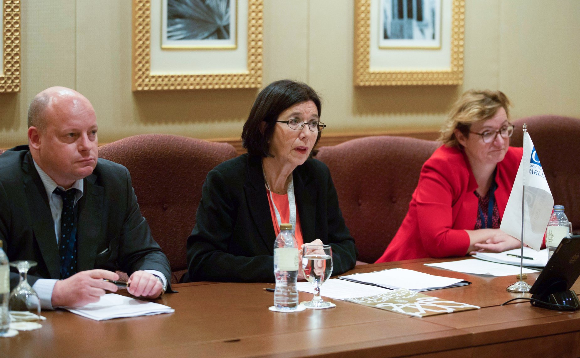 Председатель Совета Федерации Валентина Матвиенко провела встречу с Председателем Парламентской Ассамблеи ОБСЕ (ПА ОБСЕ) Кристин Муттонен