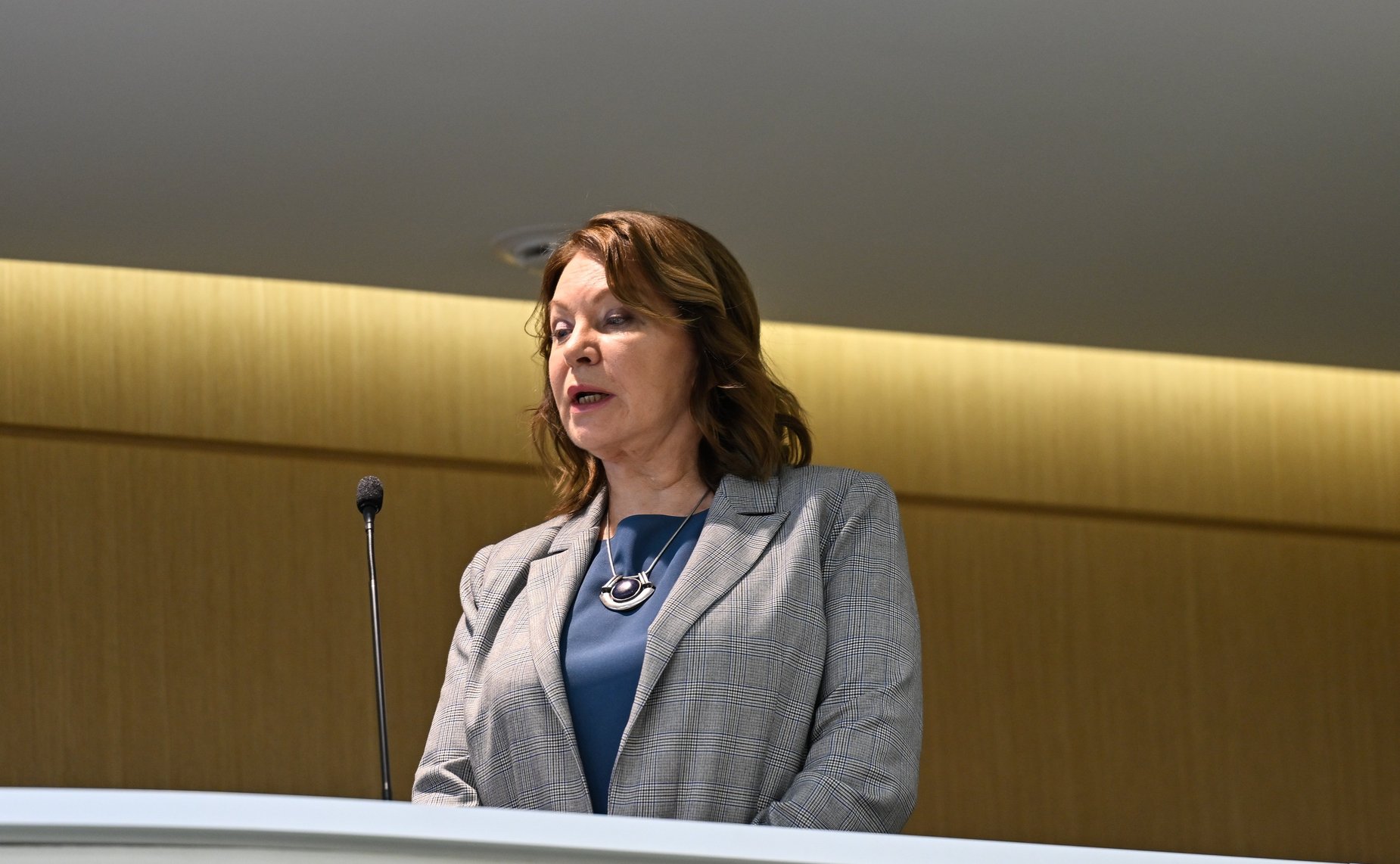 558-е заседание Совета Федерации