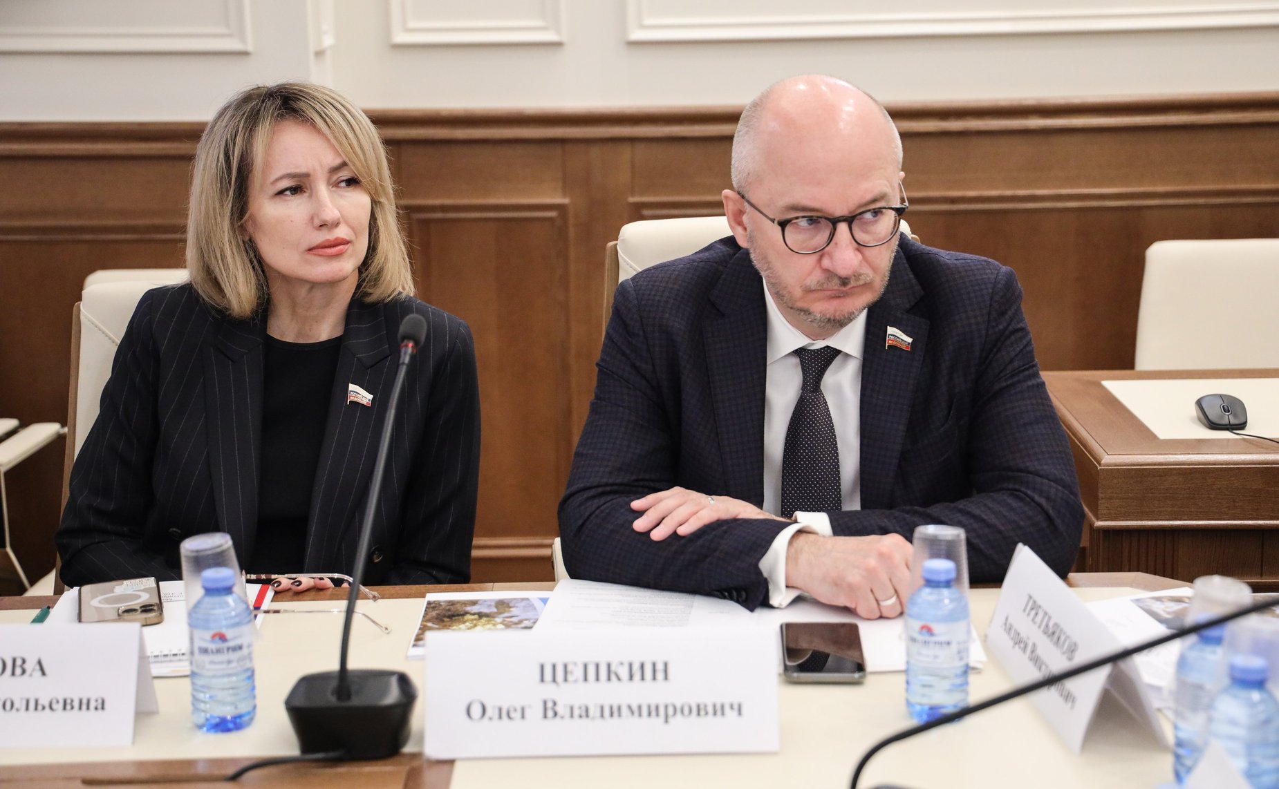 Заседание секции «Природопользование» Совета по вопросам агропромышленного комплекса и природопользования при СФ «О проекте ФЗ №343102-8 «О старательской деятельности»