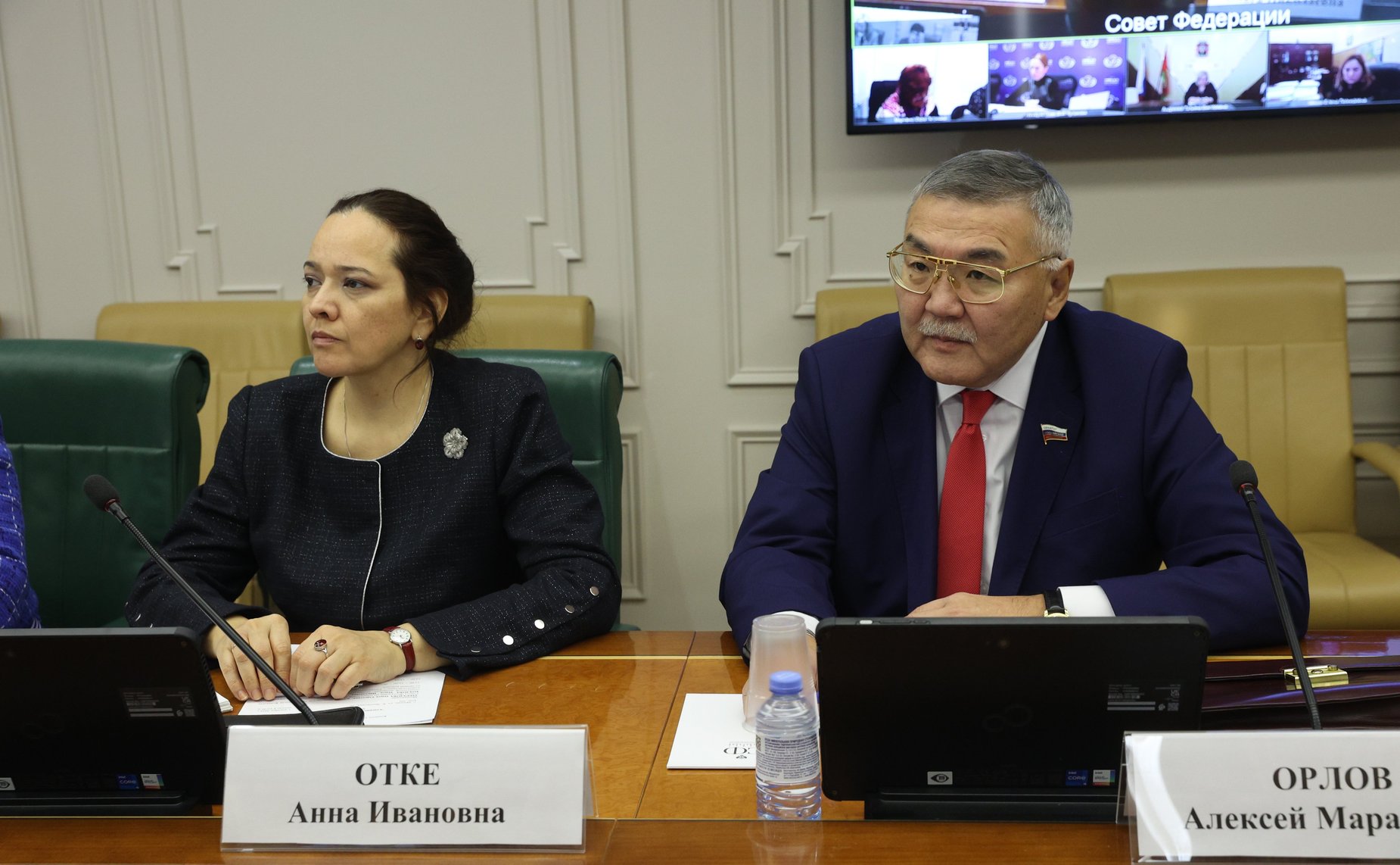 Круглый стол Комитета СФ по социальной политике