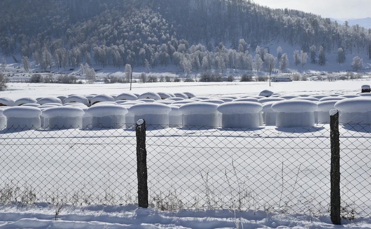 Татьяна Гигель побывала в СПК «Нижне-Уймонский» Усть-Коксинского района Республика Алтай