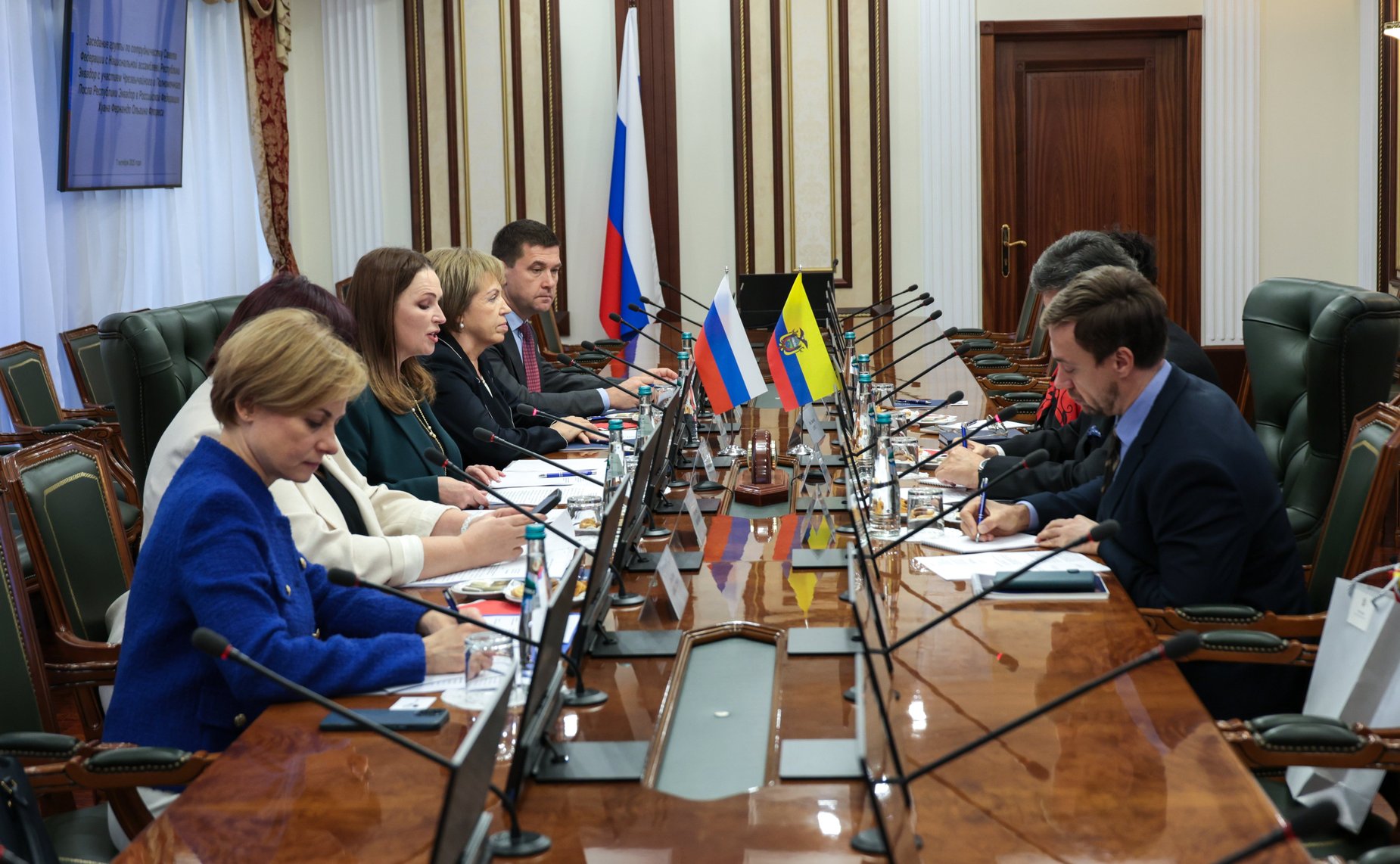 Заседание группы по сотрудничеству Совета Федерации с Национальной ассамблеей Республики Эквадор с участием Чрезвычайного и Полномочного Посла Республики Эквадор в Российской Федерации