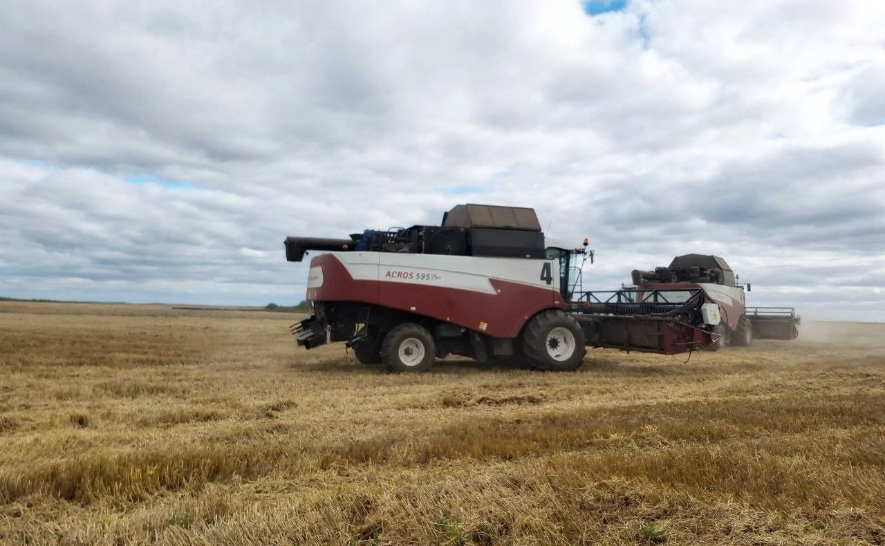 Сергей Мартынов побывал в Сернурском районе республики – на полях козьей фермы «Лукоз», побеседовал с земледельцами