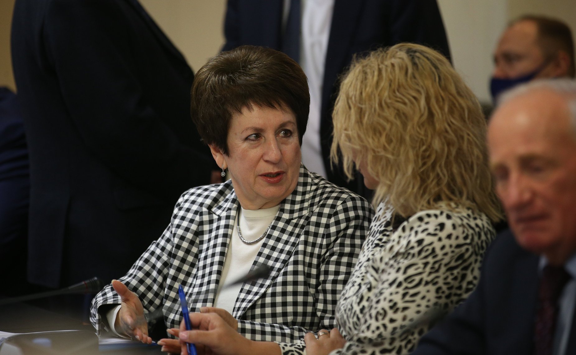 Заседание Комитета СФ по науке, образованию и культуре