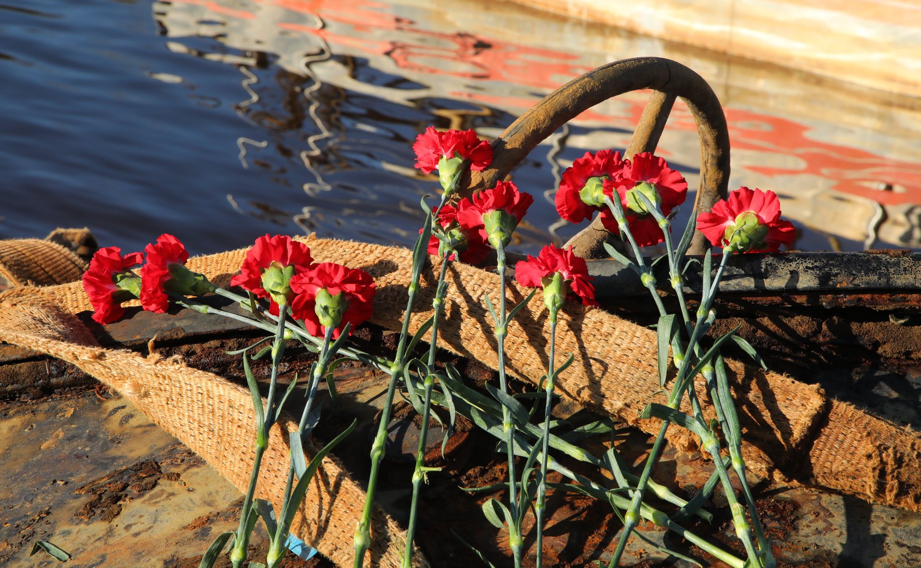 Дмитрий Василенко принял участие в экспедиции в поселок Кобона Кировского района. Здесь состоялась торжественная церемония подъема со дна Ладожского озера автомобиля времен Великой Отечественной войны