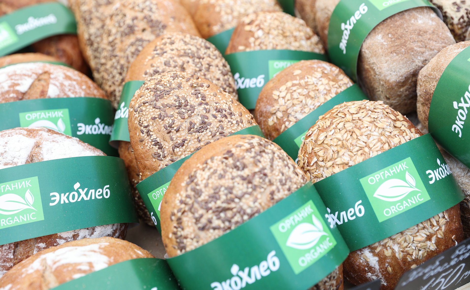 Открытие ярмарки Российской экологической продукции в рамках X Невского международного экологического конгресса