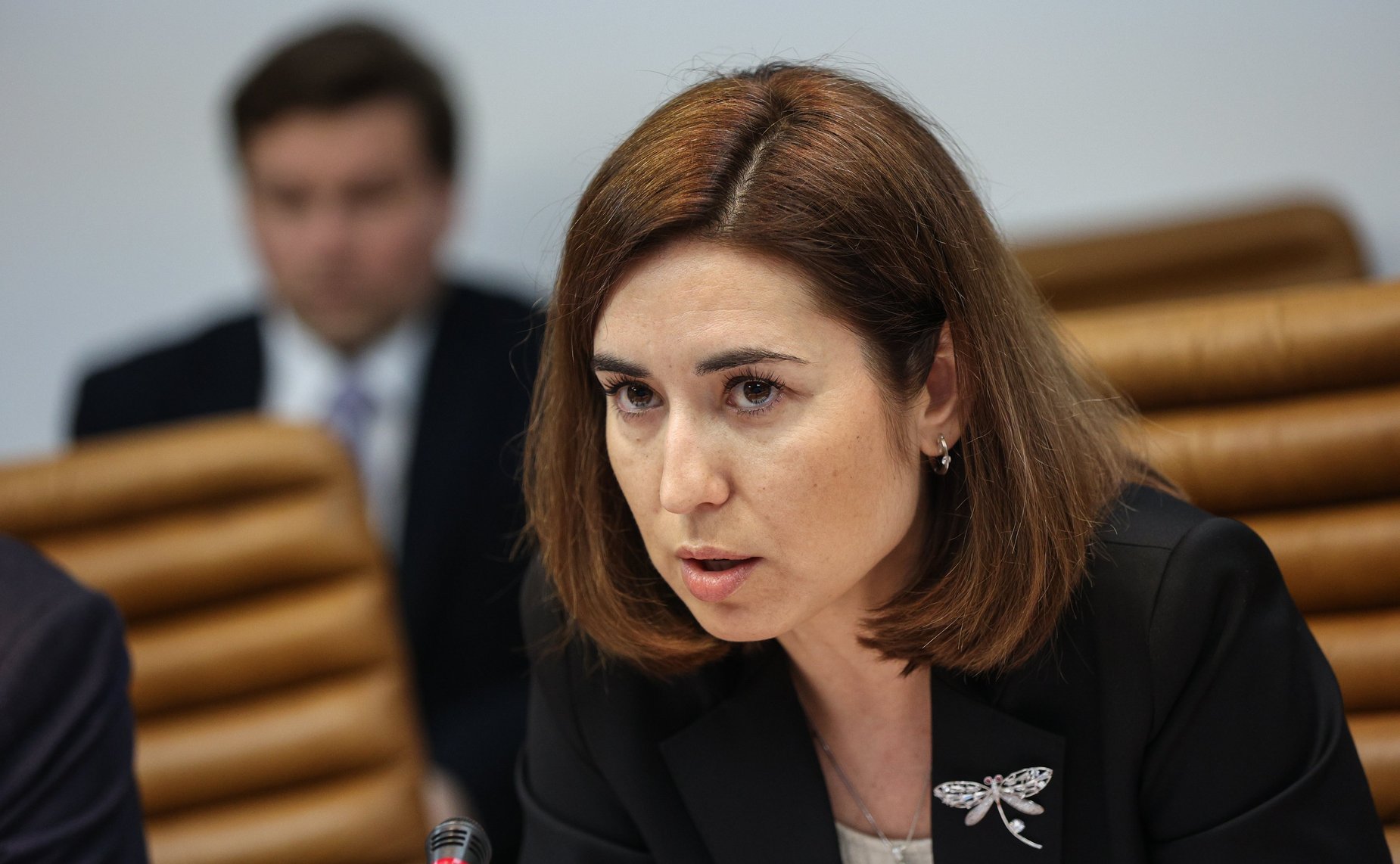 Заседание секции «Распространение российских цифровых продуктов и платформ» при Совете по развитию цифровой экономики при СФ