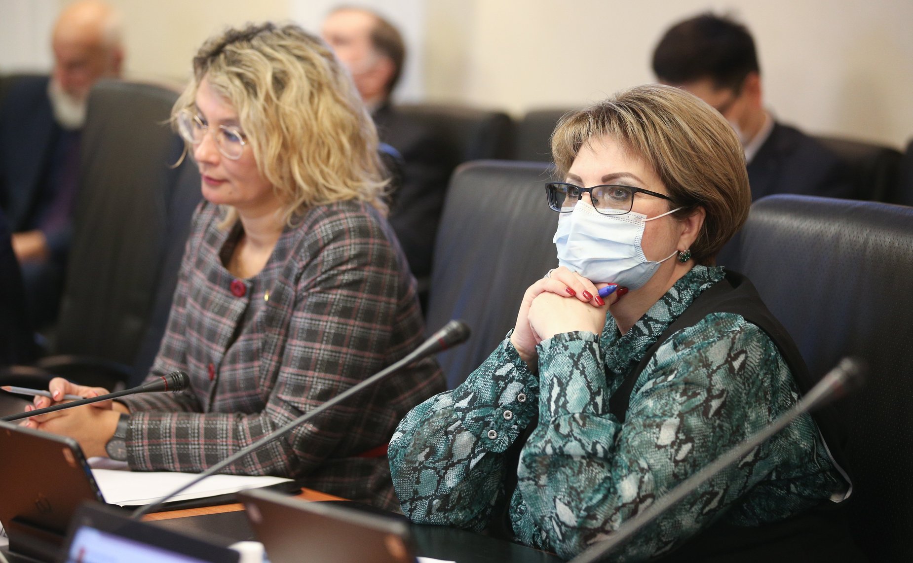 Заседание Комитета СФ по науке, образованию и культуре