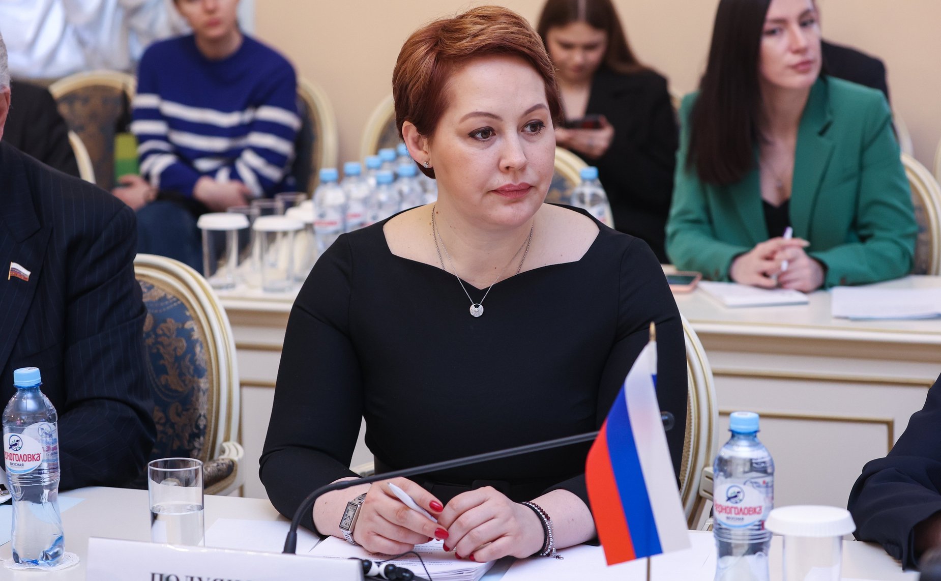 Совместное заседание постоянной комиссии МПА СНГ по социальной политике и правам человека и постоянной комиссии МПА СНГ по политическим вопросам и международному сотрудничеству