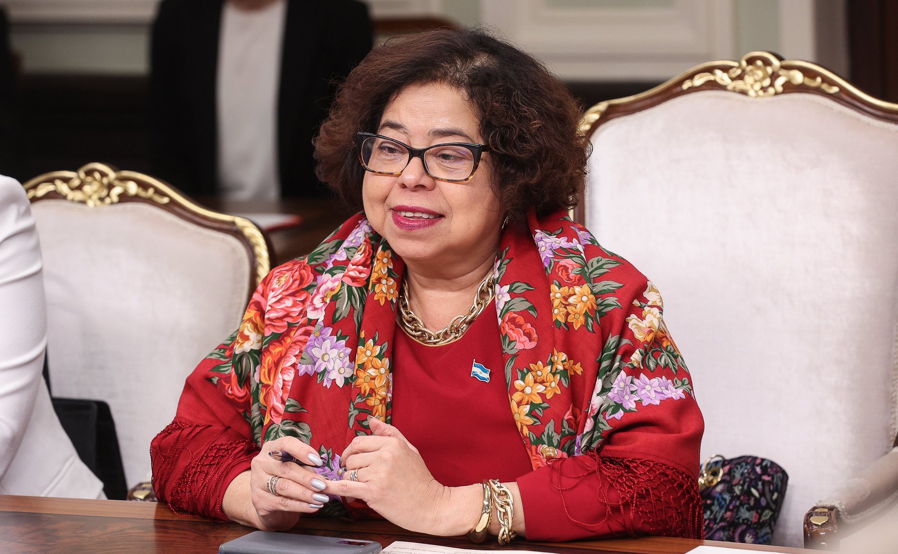 Встреча руководителя группы по сотрудничеству СФ с Национальной ассамблеей Республики Никарагуа Владимира Полетаева с Чрезвычайным и Полномочным Послом Республики Никарагуа в РФ