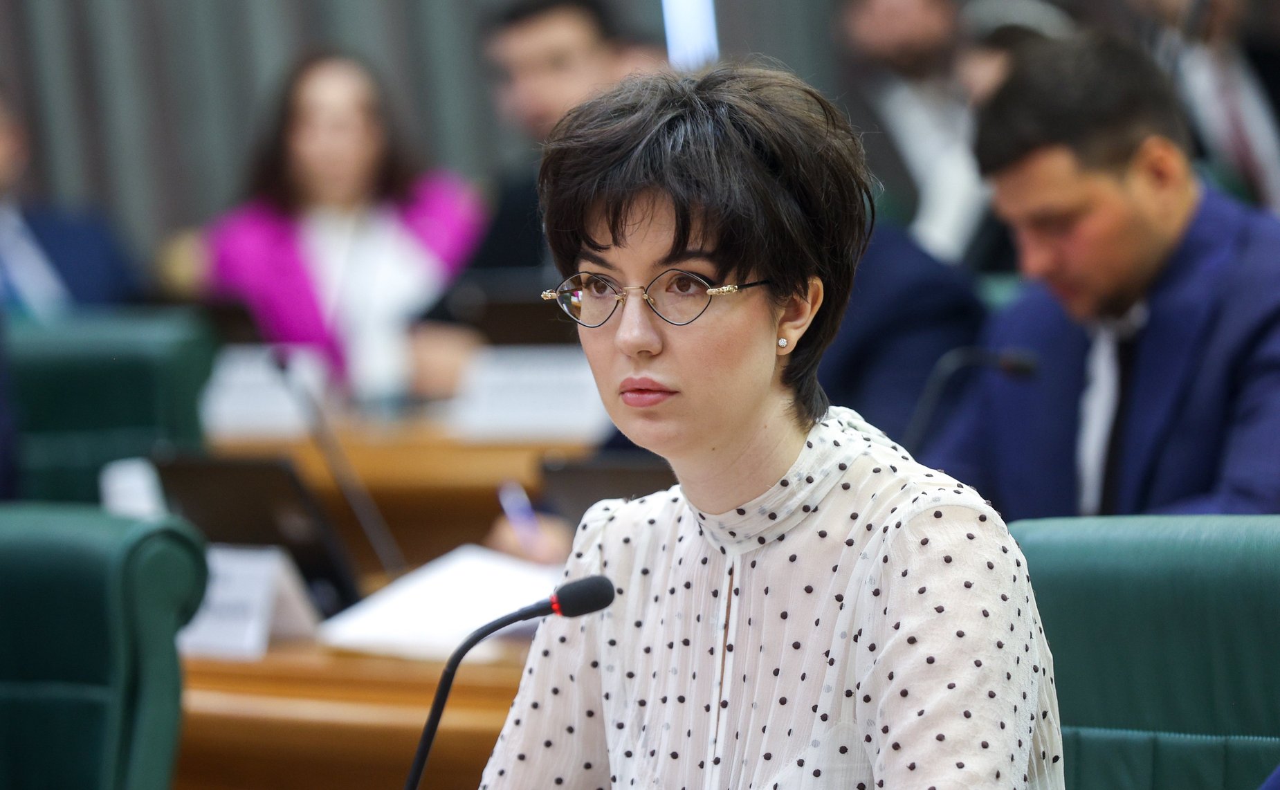 Заседание Палаты молодых законодателей при Совете Федерации
