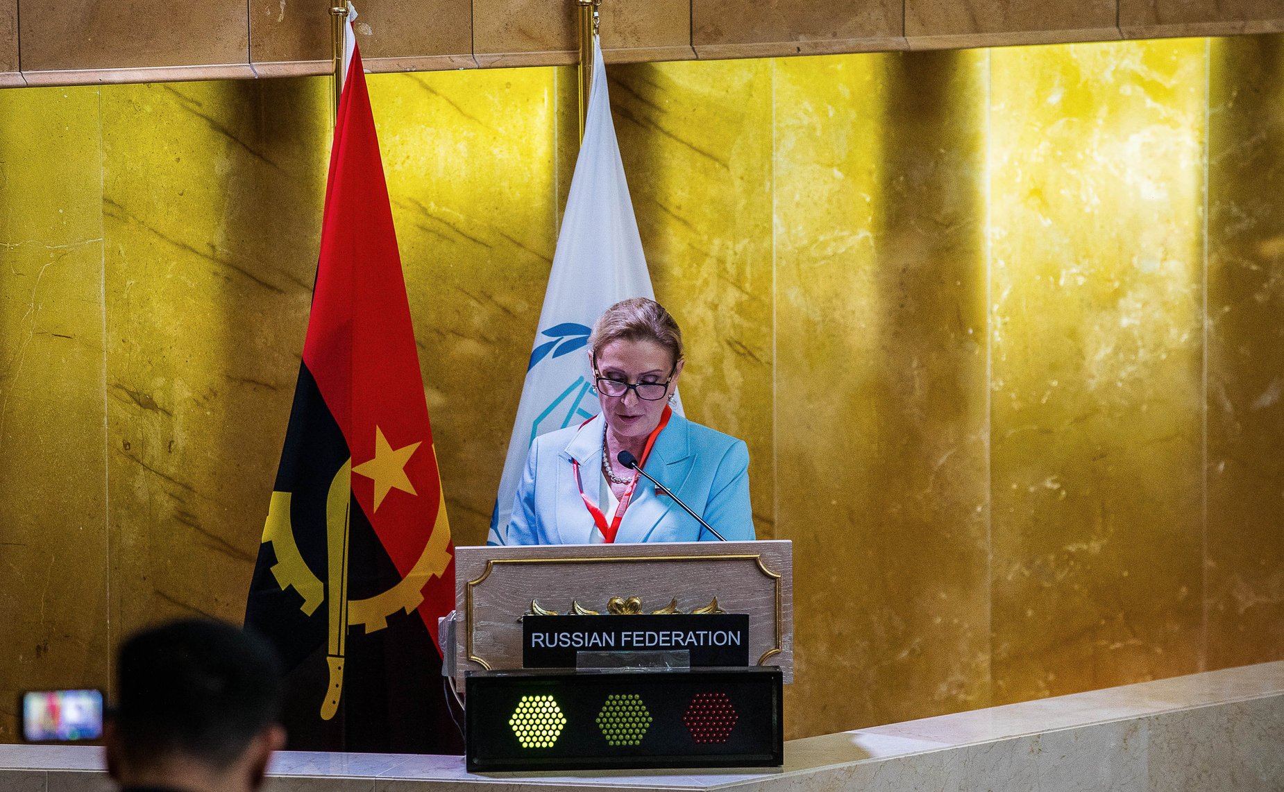 Участие делегации СФ в 147-й Ассамблеи Межпарламентского союза