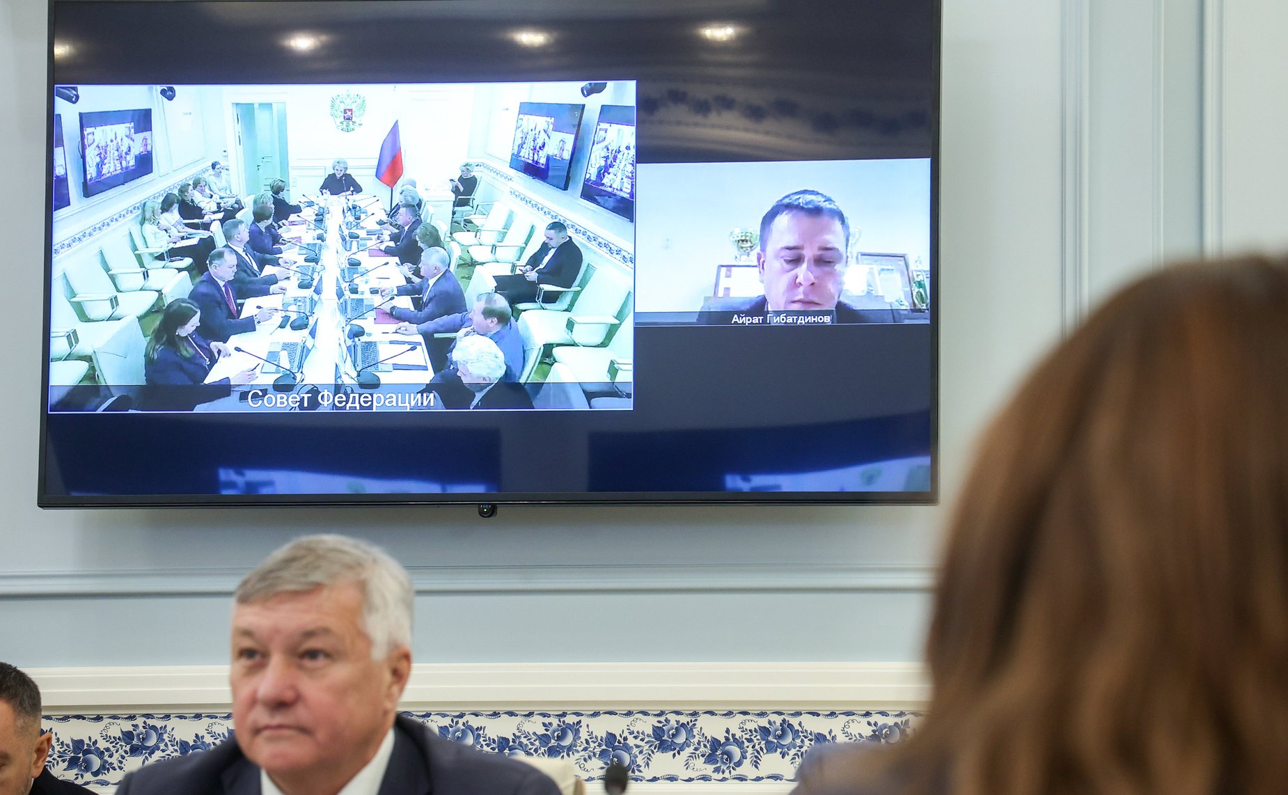 Заседание Комитета Совета Федерации по науке, образованию и культуре