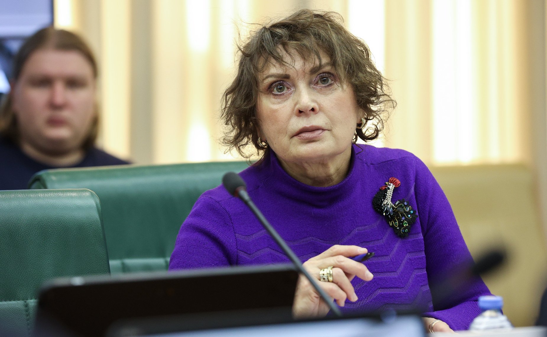 Круглый стол Комитета СФ по международным делам «Идеология «украинства» как основа проекта формирования «анти-России»