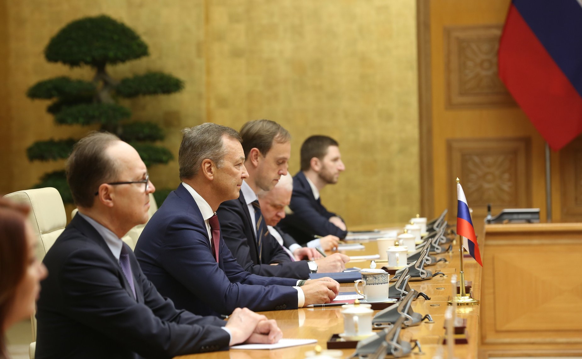 Первый заместитель Председателя СФ Андрей Яцкин провел встречу с заместителем Премьер-Министра Правительства Вьетнама Чан Хонг Ха