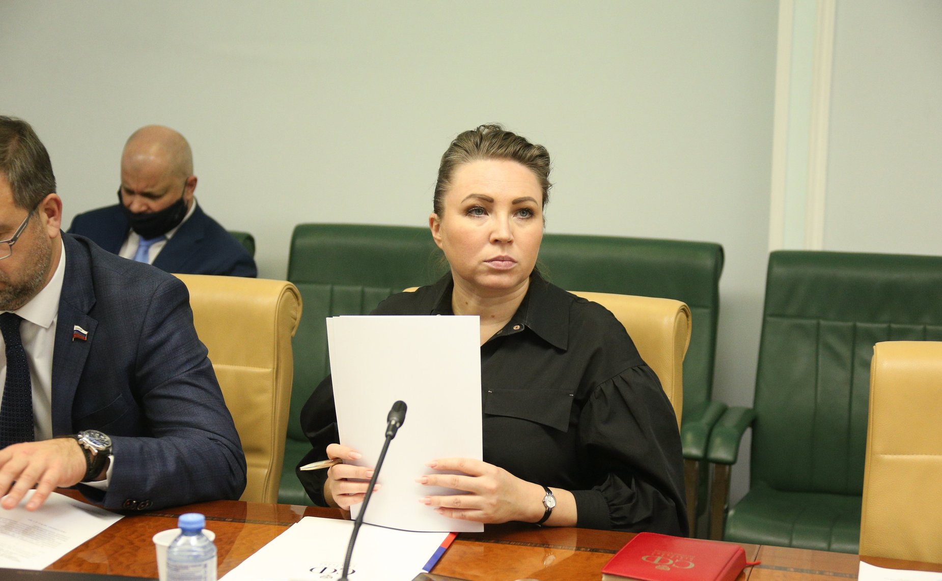 Елена Шумилова