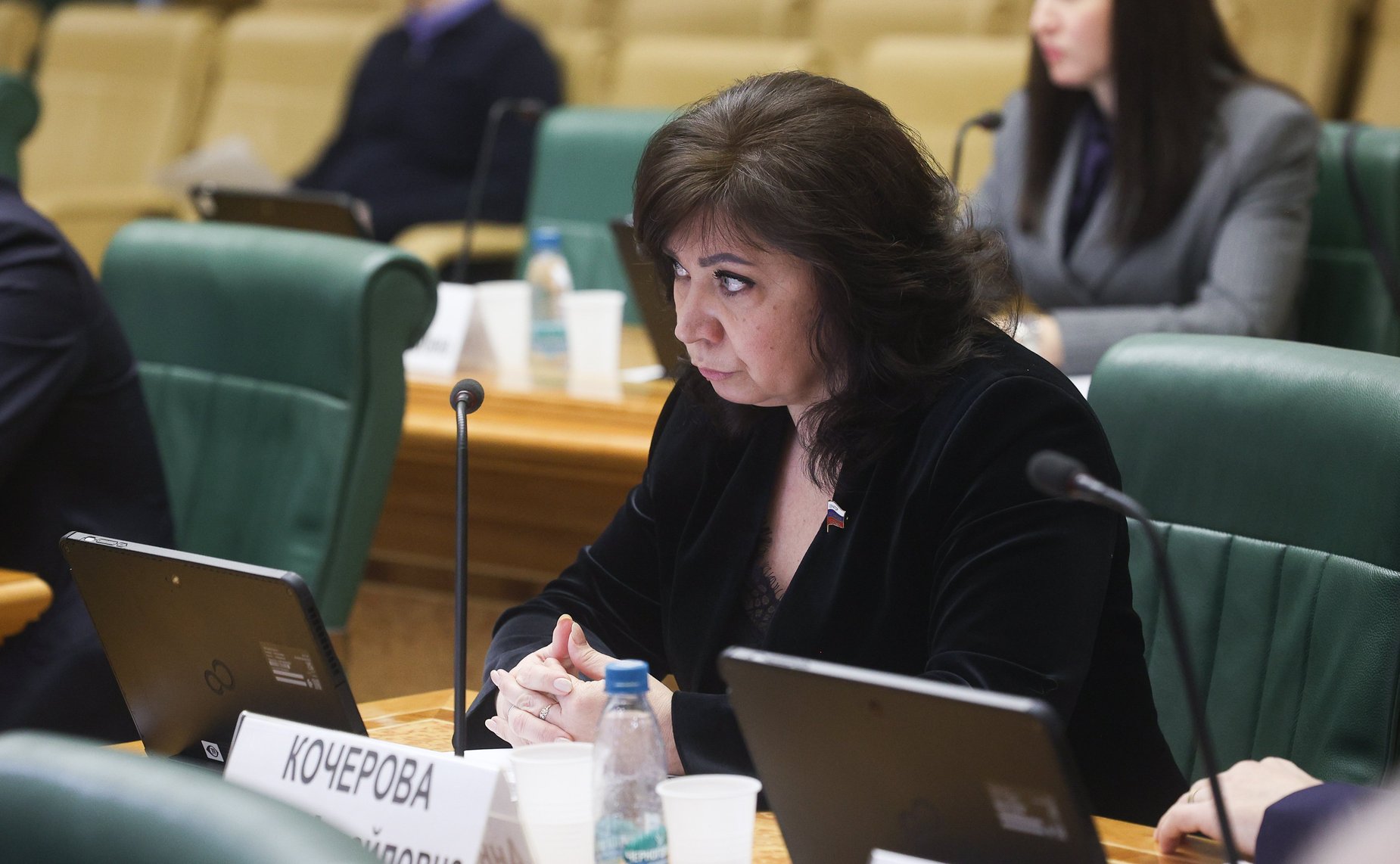 Анна Кочерова