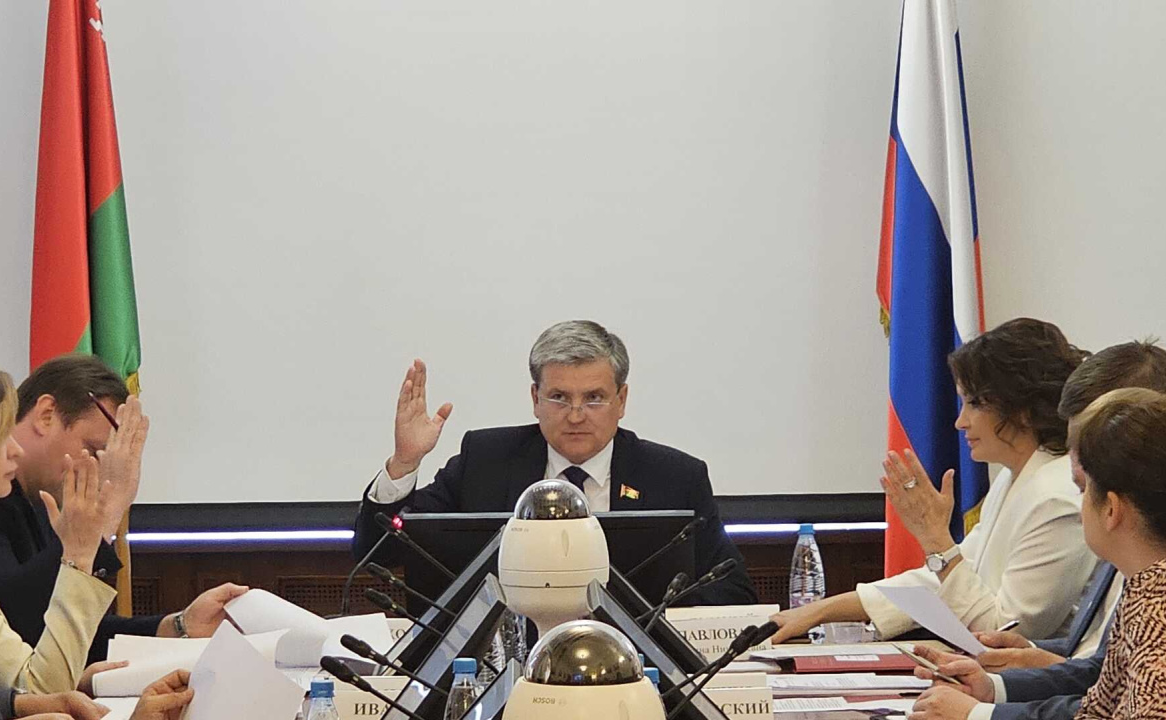 Маргарита Павлова приняла участие в заседании Комиссии ПС по информационной политике, информационным технологиям и связи