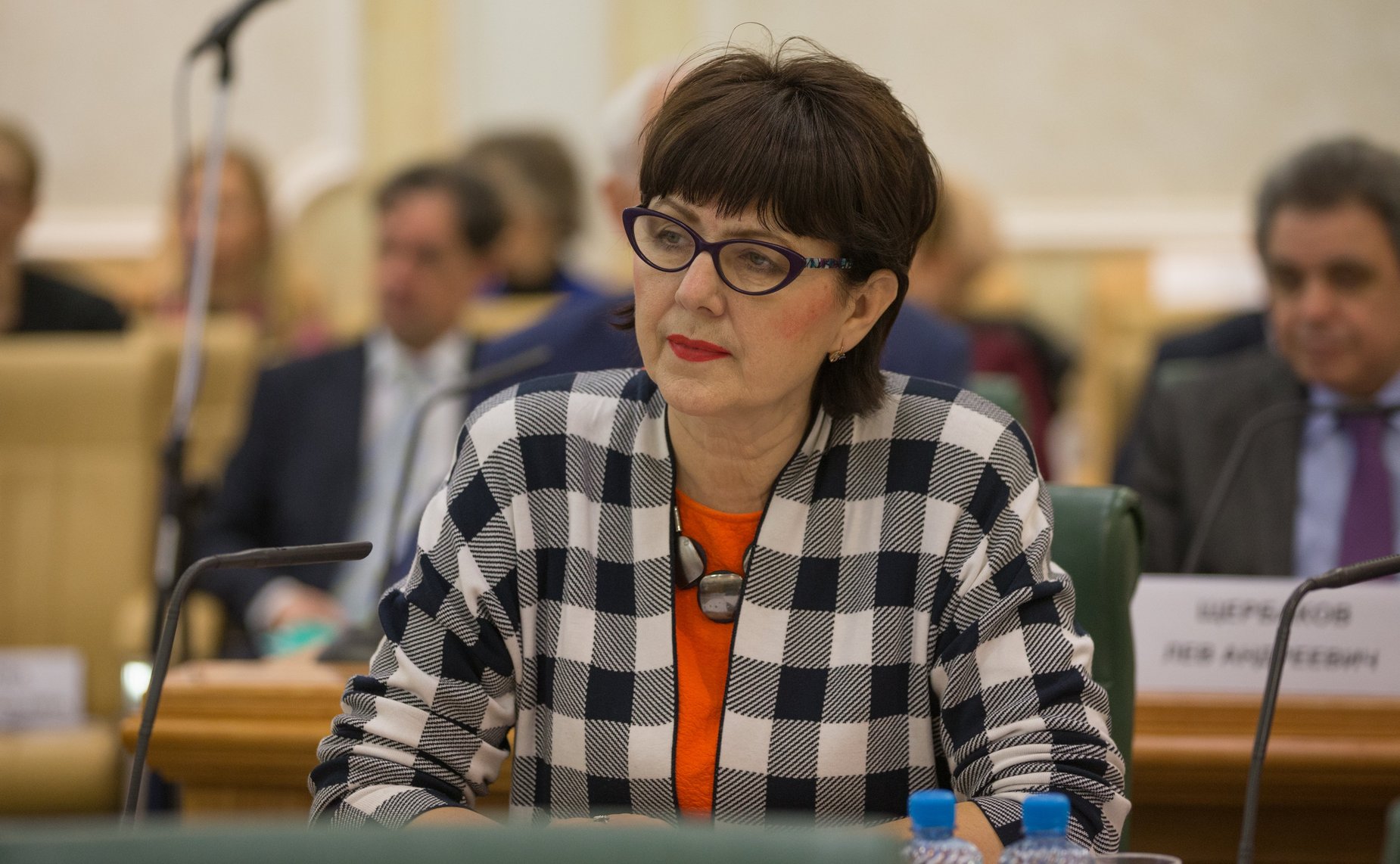 Заседание Совета по вопросам интеллектуальной собственности при СФ