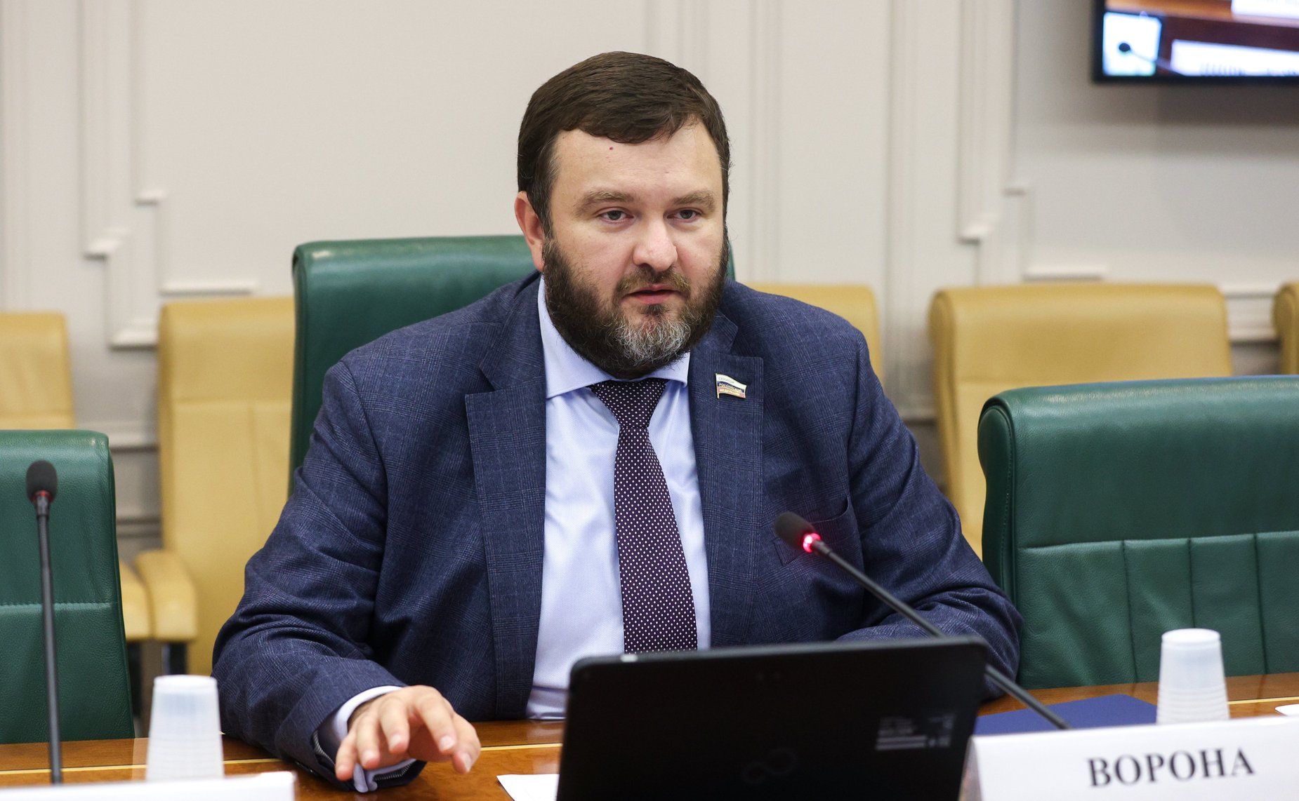 Дмитрий Ворона