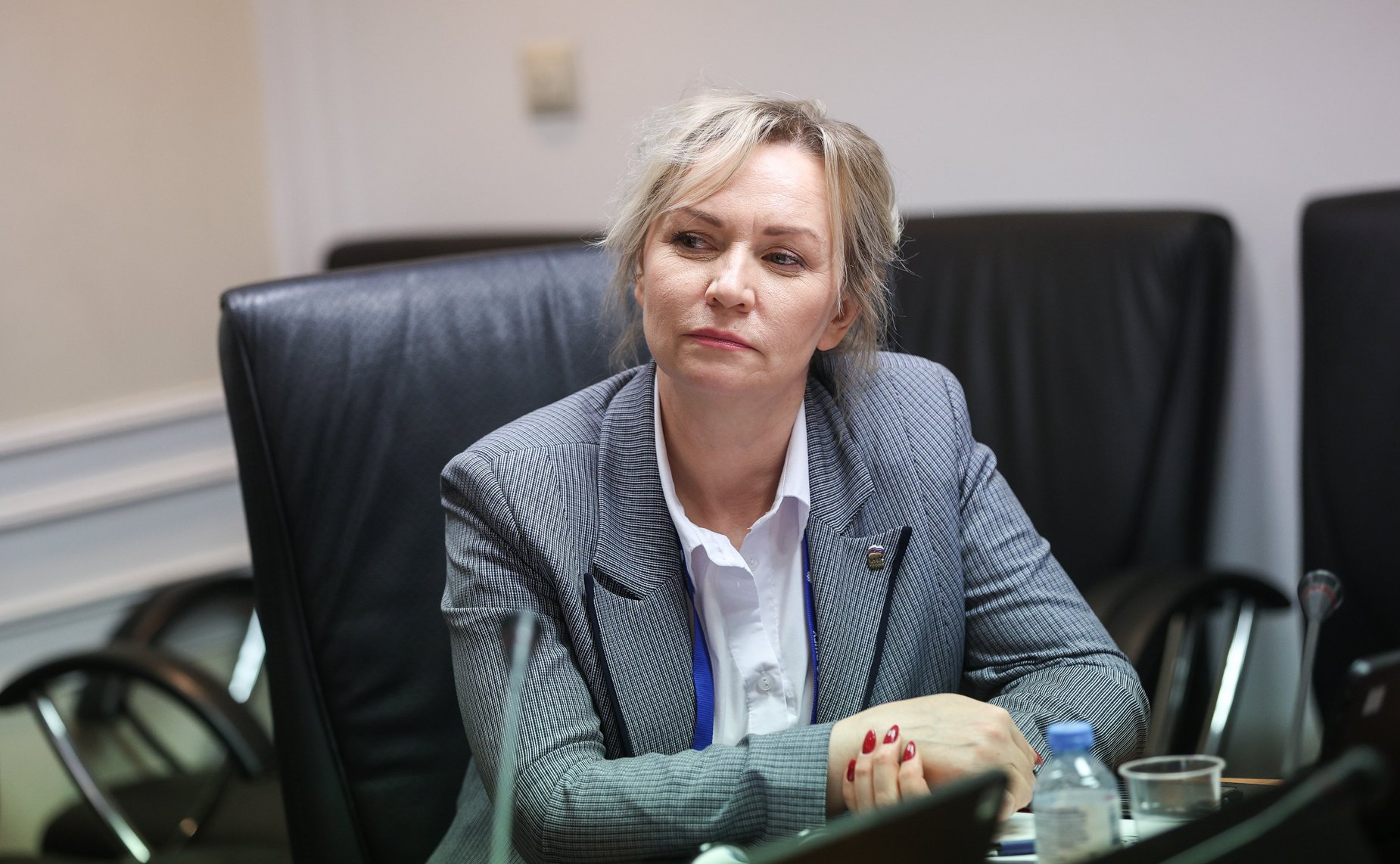 Встреча сенаторов Российской Федерации с участниками Программы «Руководители представительных органов местного самоуправления Донбасса и Новороссии»