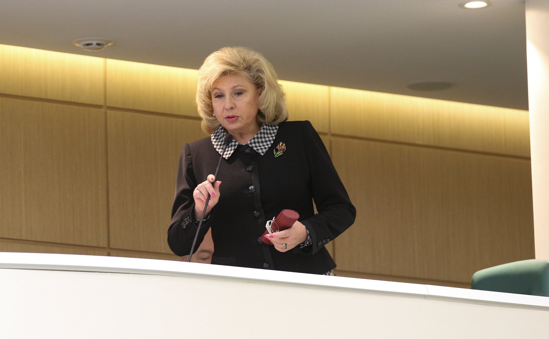 491-е заседание Совета Федерации