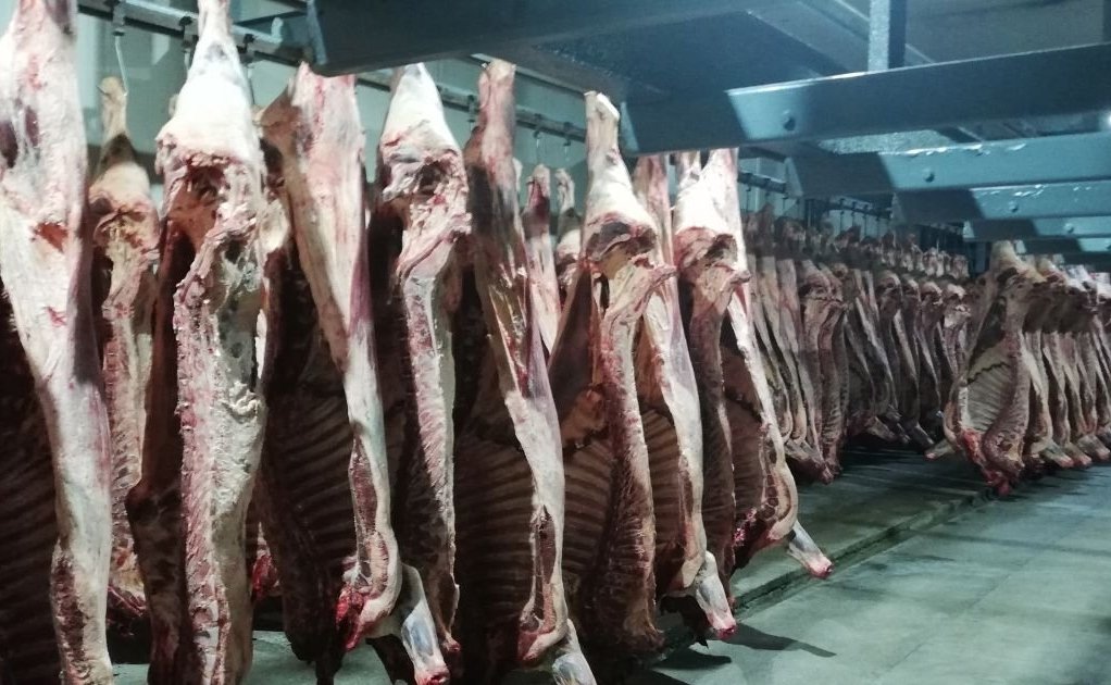 На Онгудайском мясоперерабатывающем комбинате