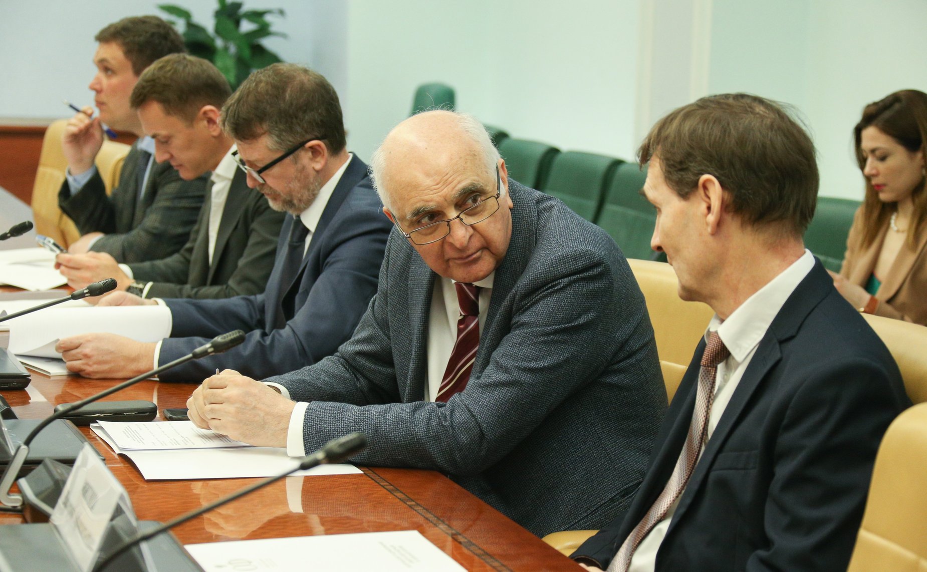 Заседание Экспертного совета по здравоохранению при Комитете СФ по социальной политике