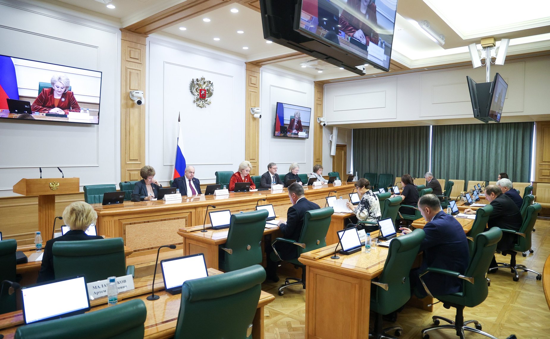 Заседание Комитета Совета Федерации по науке, образованию и культуре