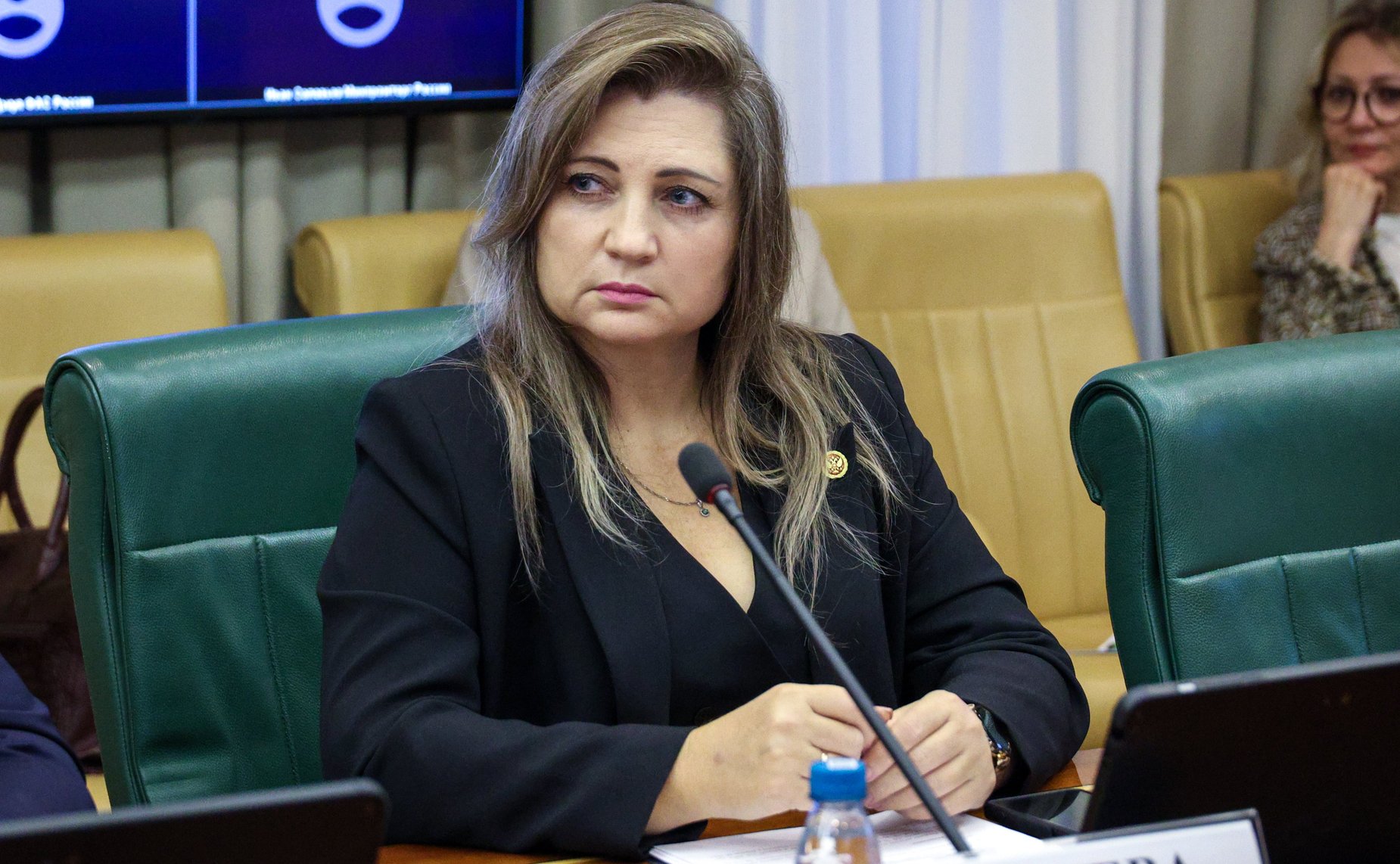 Совещание Комитет Совета Федерации по экономической политике «Актуальные проблемы связи и телекоммуникаций на территориях воссоединенных субъектов Российской Федерации»